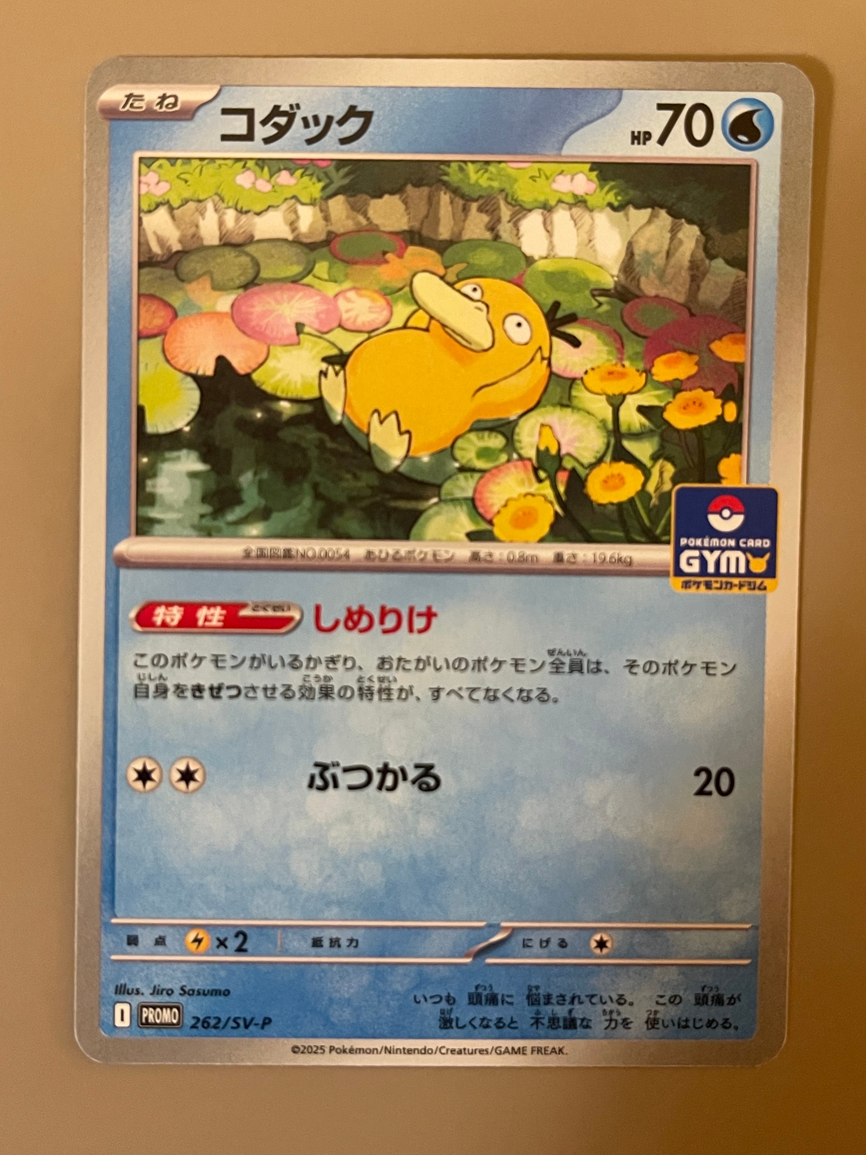 コダック P [SV-P 262](プロモカードパック「第10弾」)の新品/中古