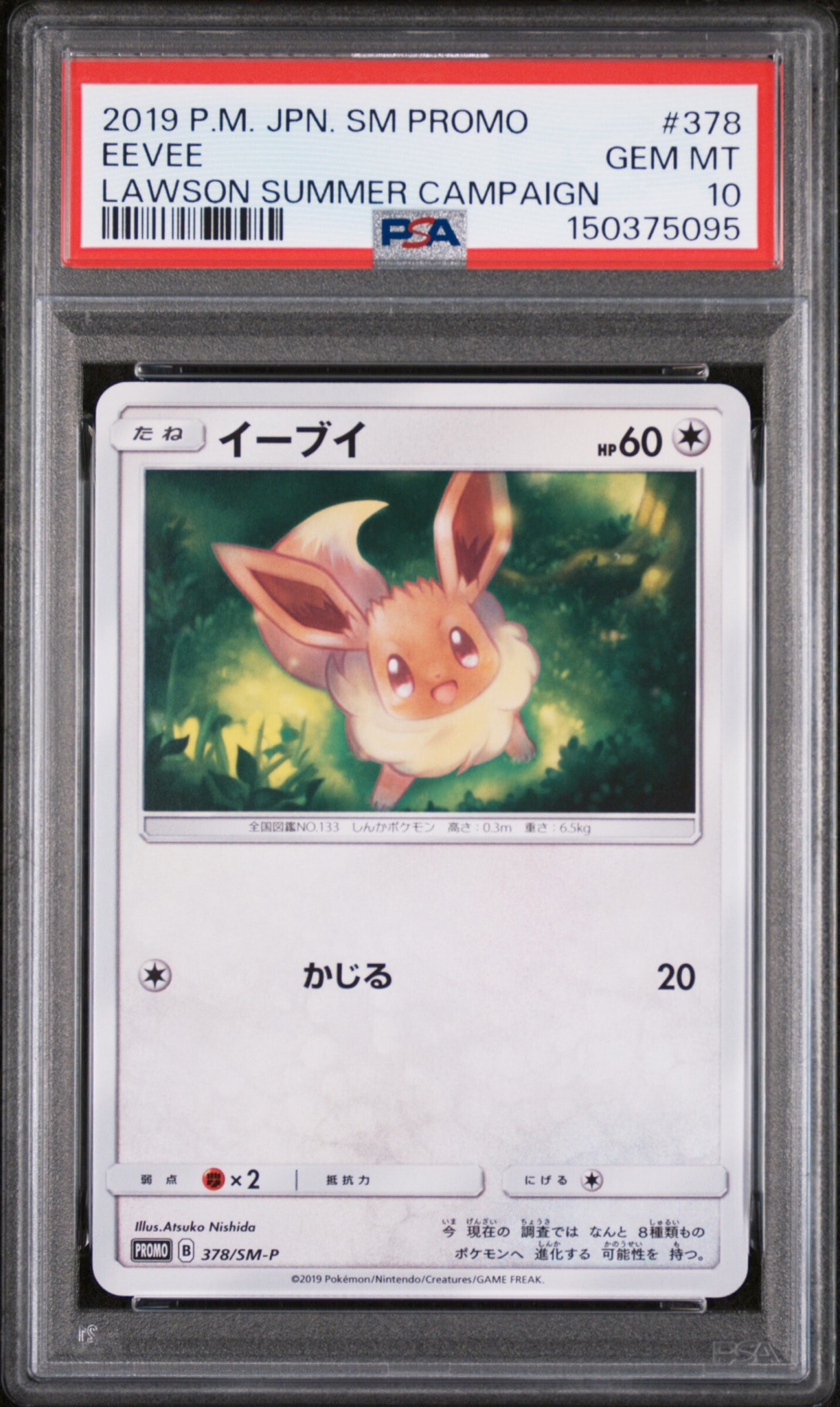 イーブイ P [SM-P 378](プロモーションカード「ローソンサマー