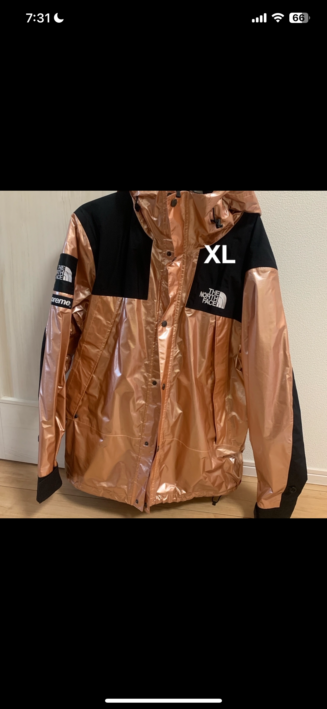 Supreme x The North Face Metallic Mountain Parka 