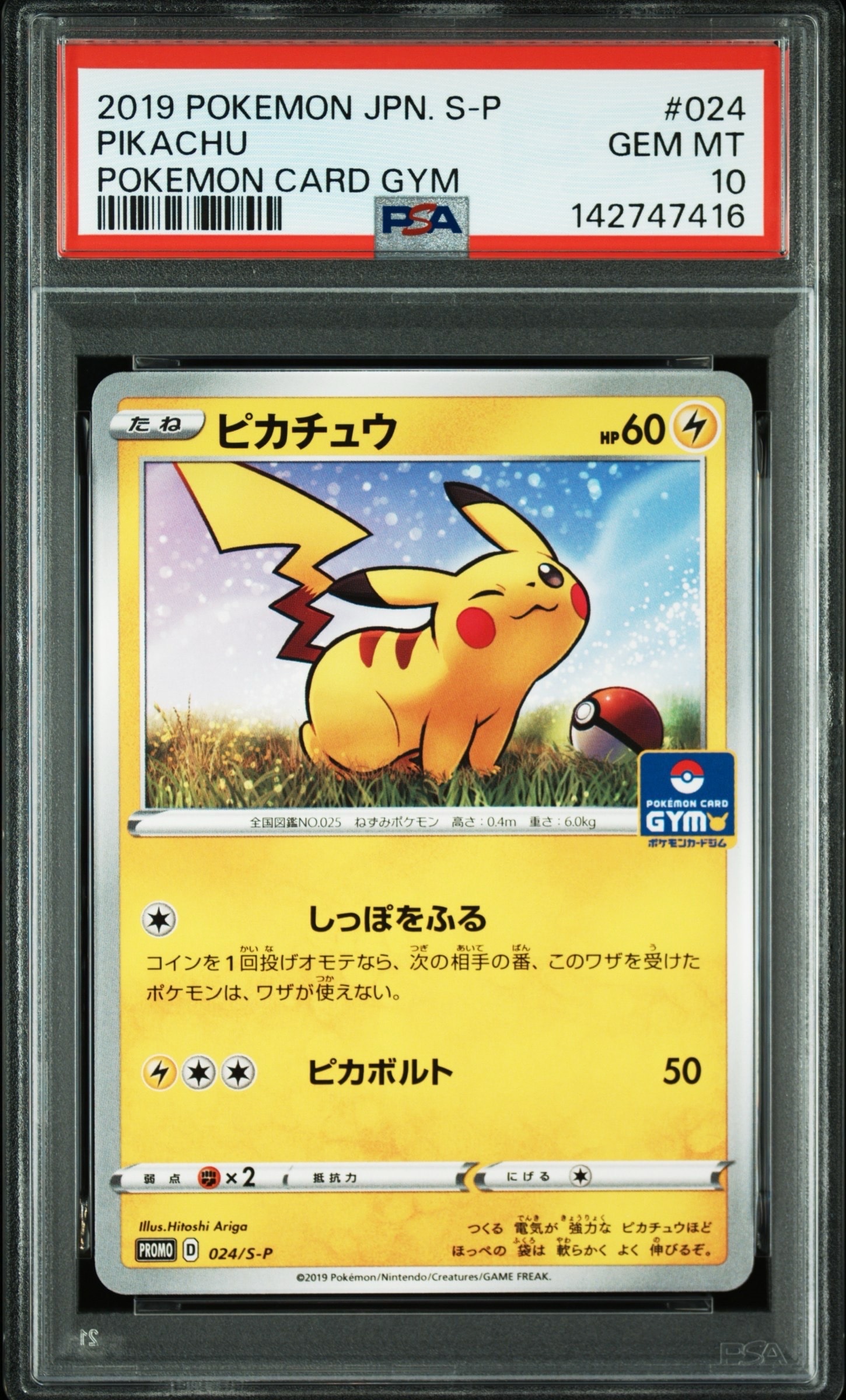 ピカチュウ: プロモ P [S-P 024](ポケモンカードゲーム ソード&シールド 「プロモカードパック 第1弾」)