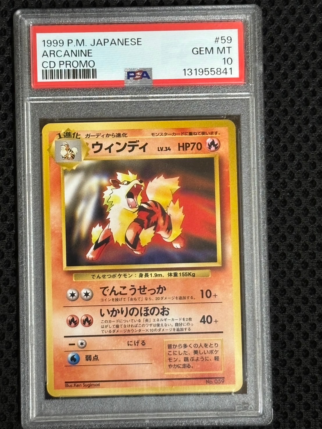 ウィンディ P : 旧裏 [PMCG-P No.059](プロモーションカード「トヨタオートキャンペーン」)