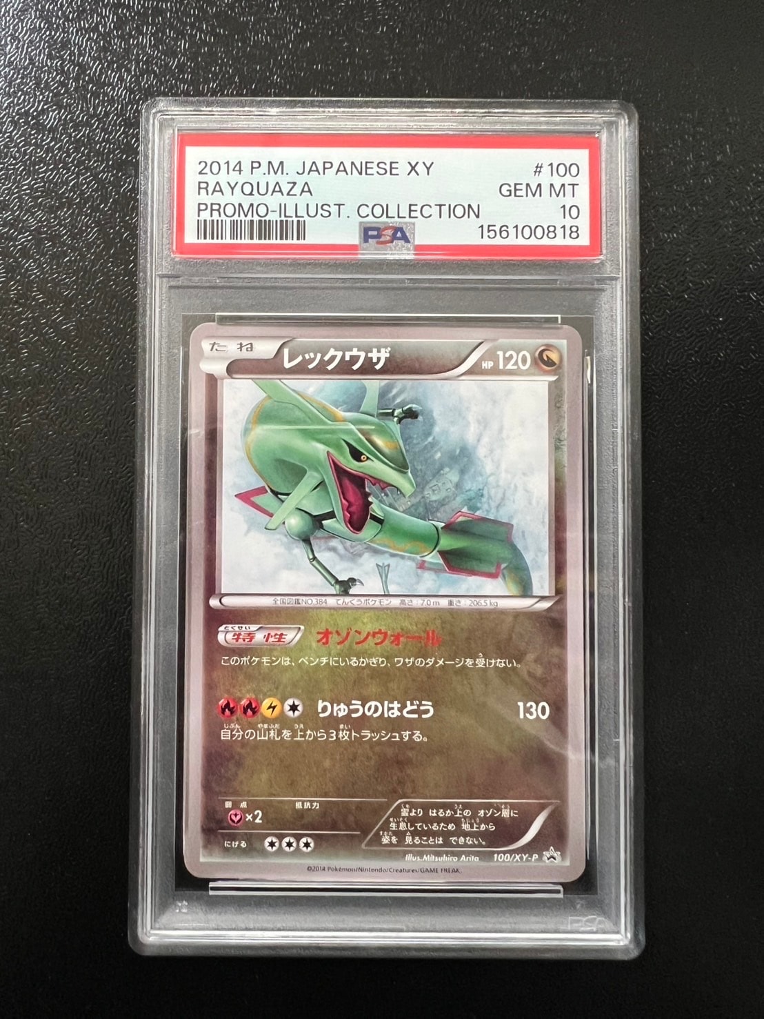 レックウザ イラストコレクション: プロモ[XY-P 100/XY-P](プロモーションカード「XY-P」)