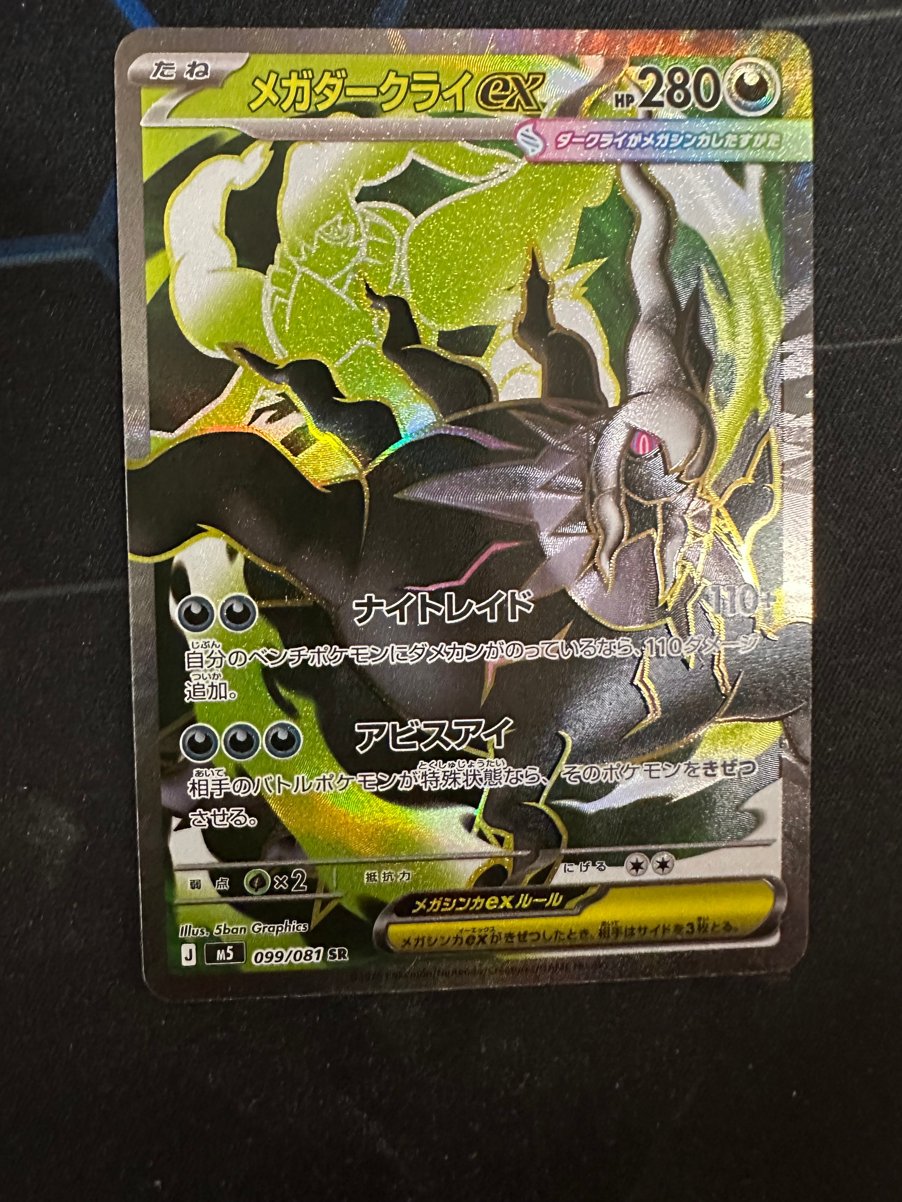 タケルライコex SAR [SV8a 222/187](ハイクラスパック「テラスタル