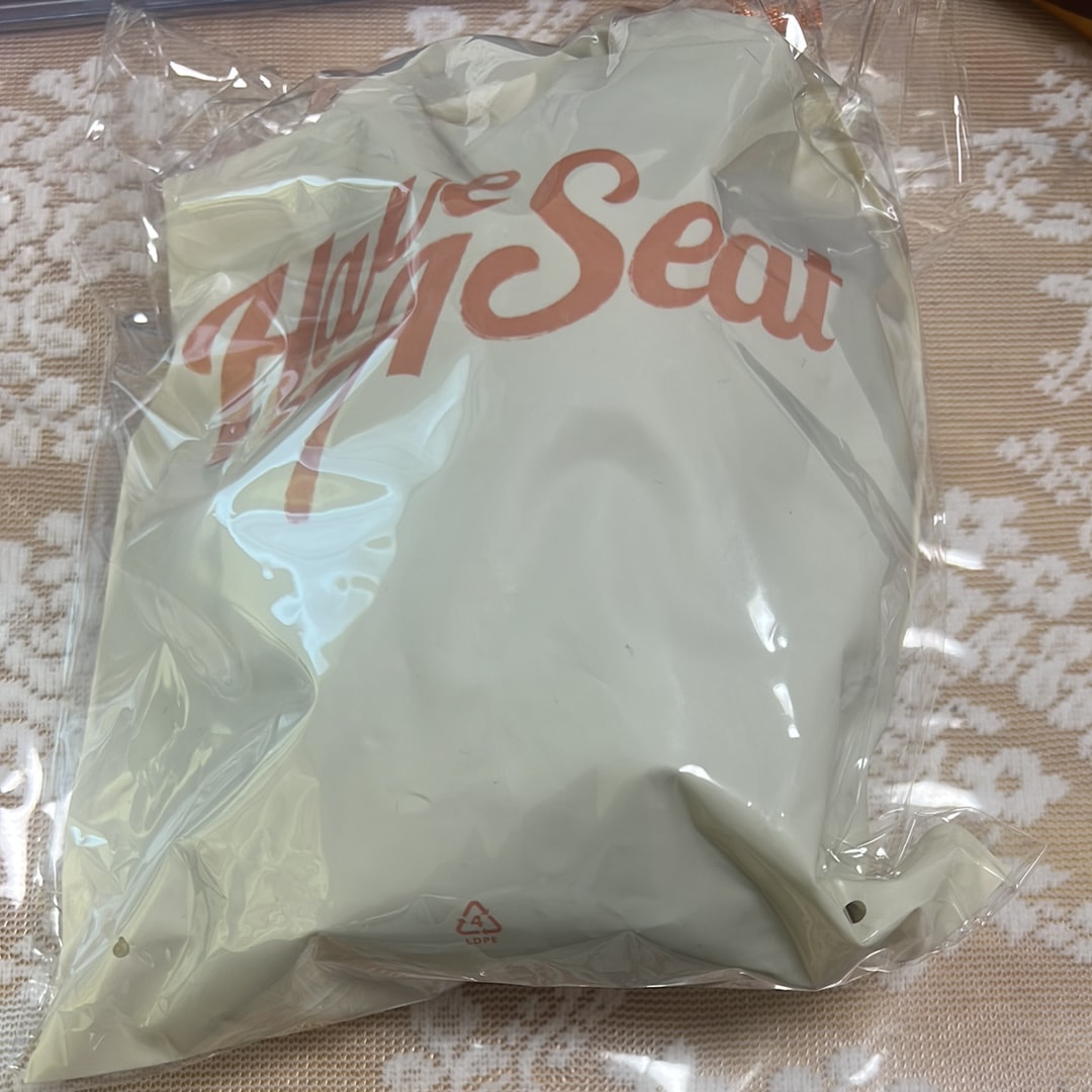 POP MART THE MONSTERS (LABUBU) Have a Seat Plush Series DUODUO (Secret)