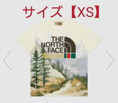 Gucci x The North Face T-shirt "Multi"
