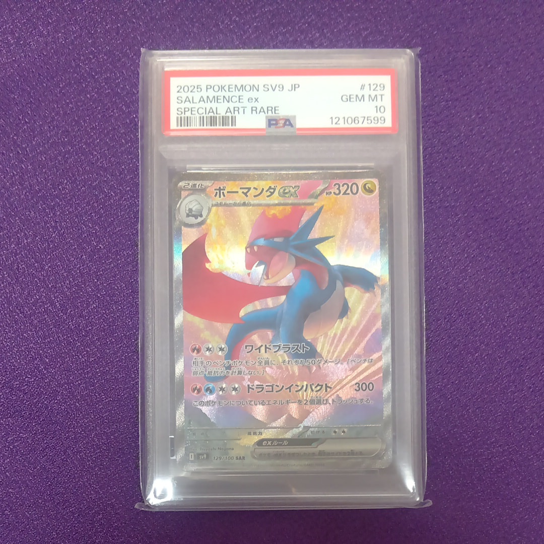 PSA10】オールナイトパーティ: プロモ[XY-P 139/XY-P](プロモーション