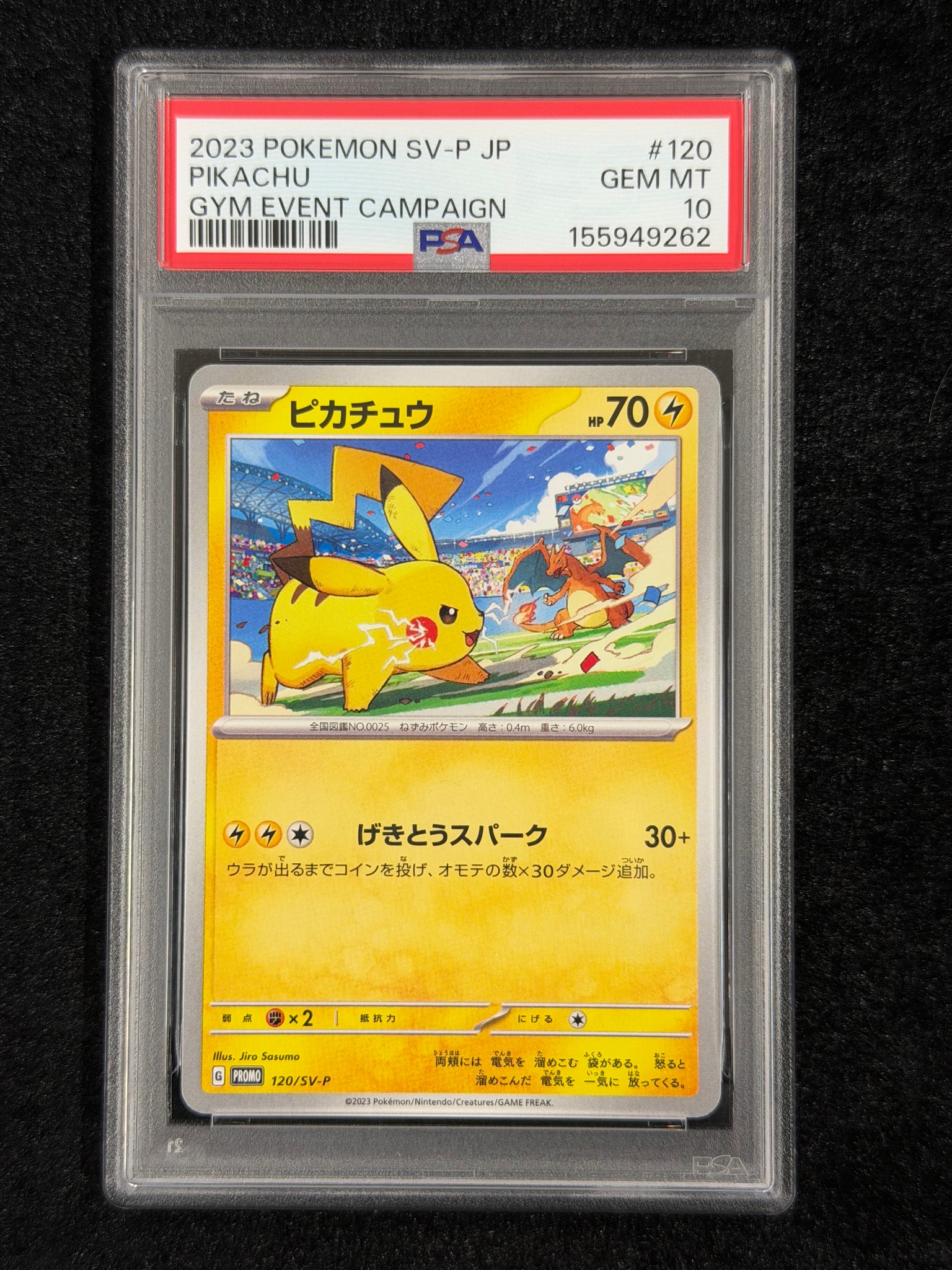 ピカチュウ: プロモ [SV-P 120](プロモーションカード「SV-P」)