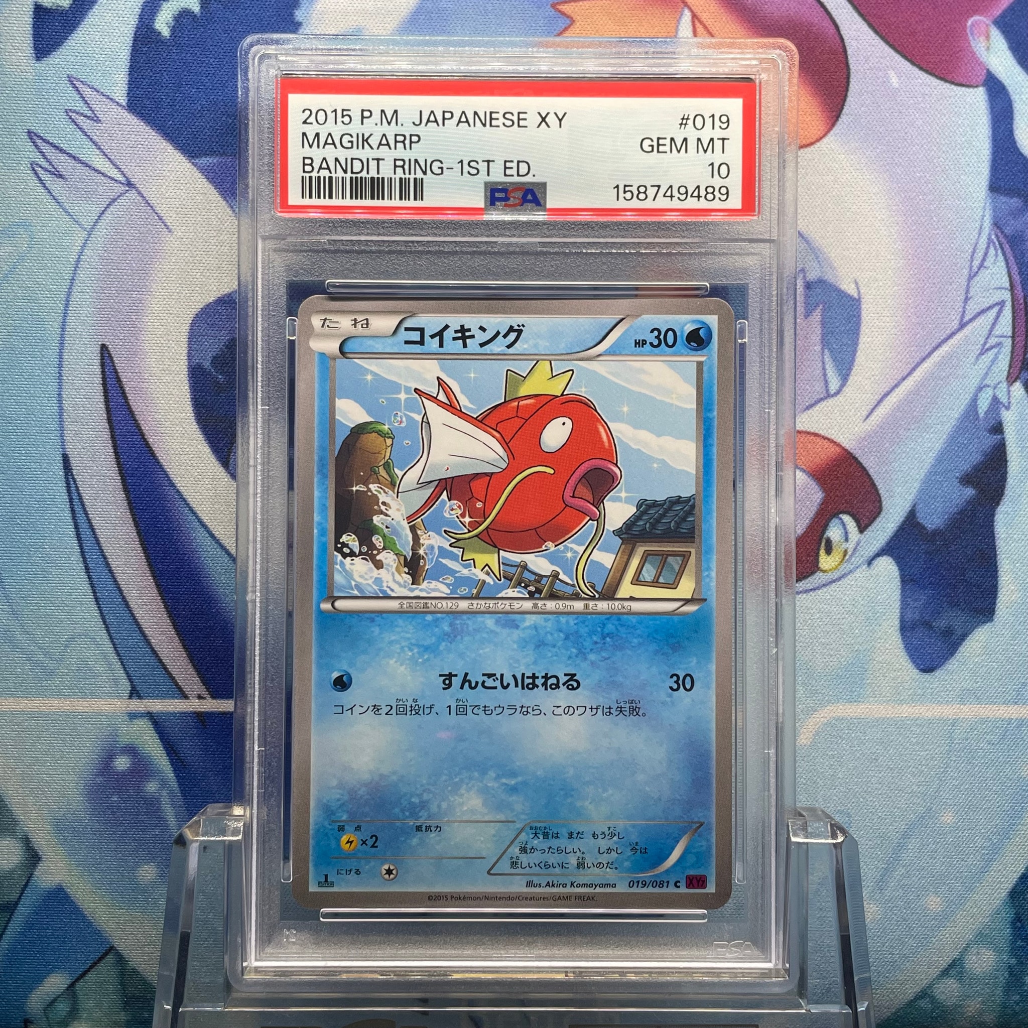 コイキング C :1ED [XY7 019/081](拡張パック「バンデットリング」)
