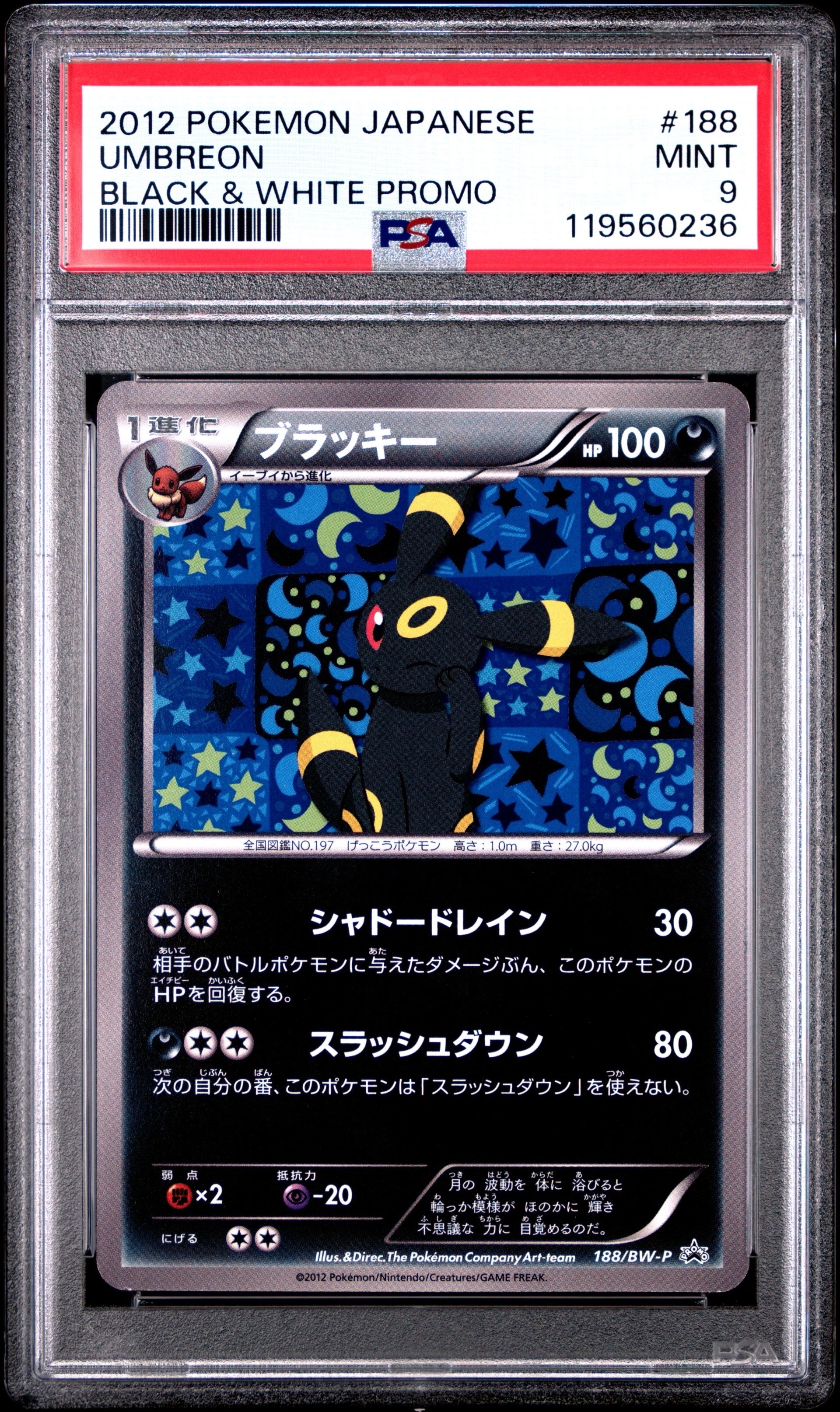ブラッキー P [BW-P 188/BW-P](プロモーションカード「コレクションファイル イーブイコレクション スペシャルカード」)
