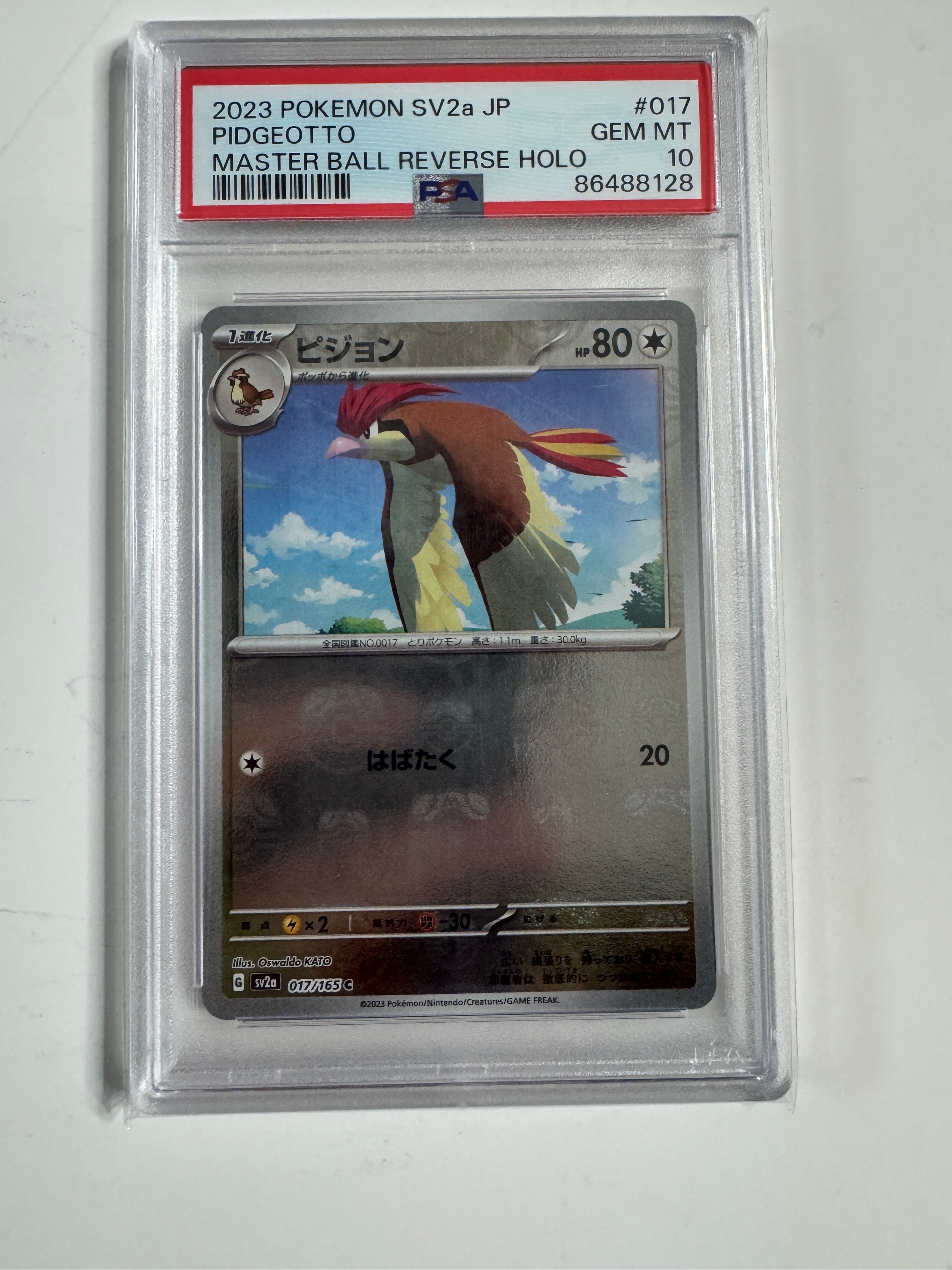 PSA10】ポケパークのゴンベ [PCG 008/009](ポケパークプレミアム