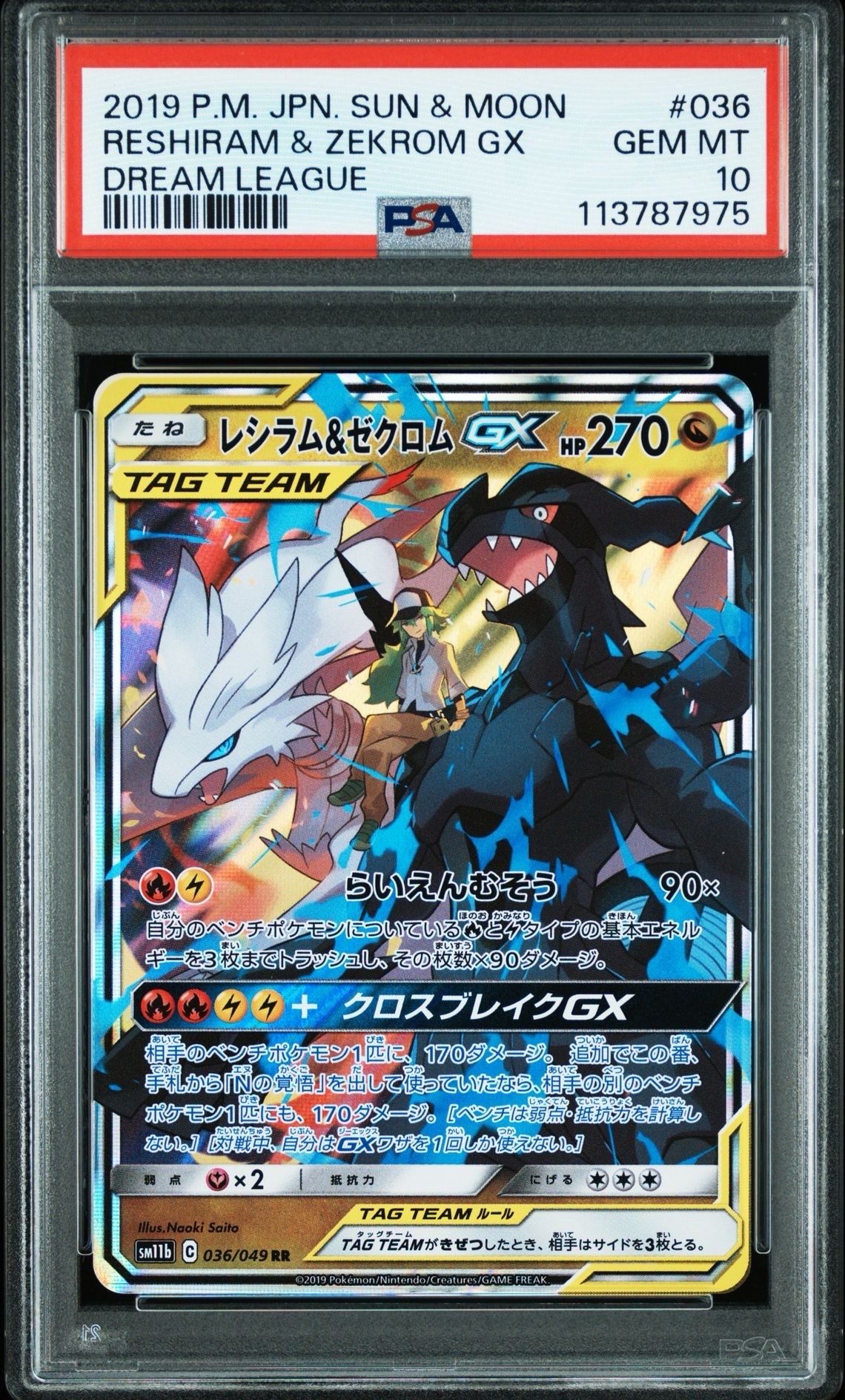 レシラム&ゼクロムGX (N) RR[SM11b 036/049](強化拡張パック「ドリームリーグ」)