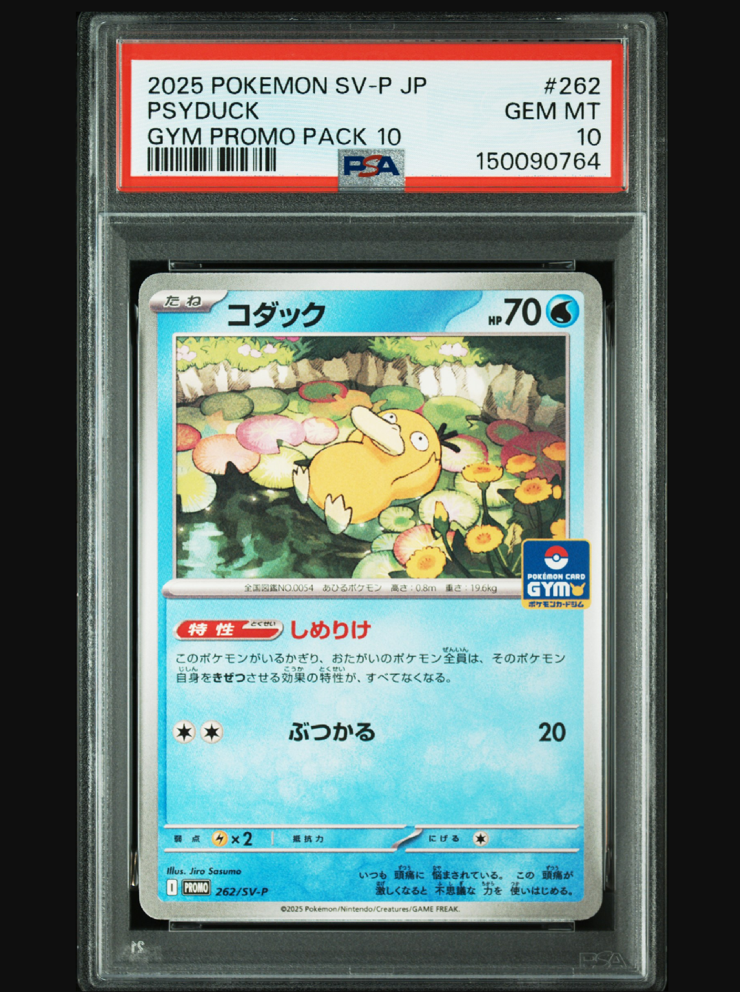 PSA10】コダック P [SV-P 262](プロモカードパック「第10弾」) 1枚の
