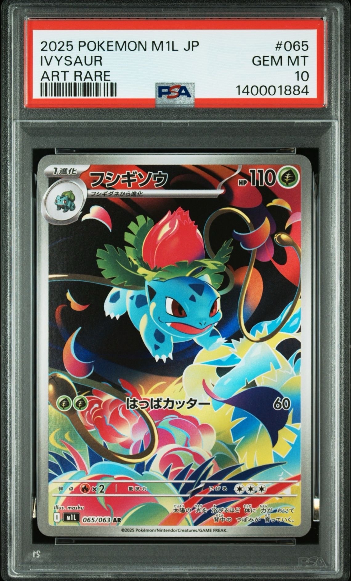 PSA10】ゼルネアスEX: プロモ [S8a-P 023](プロモカードパック 25th