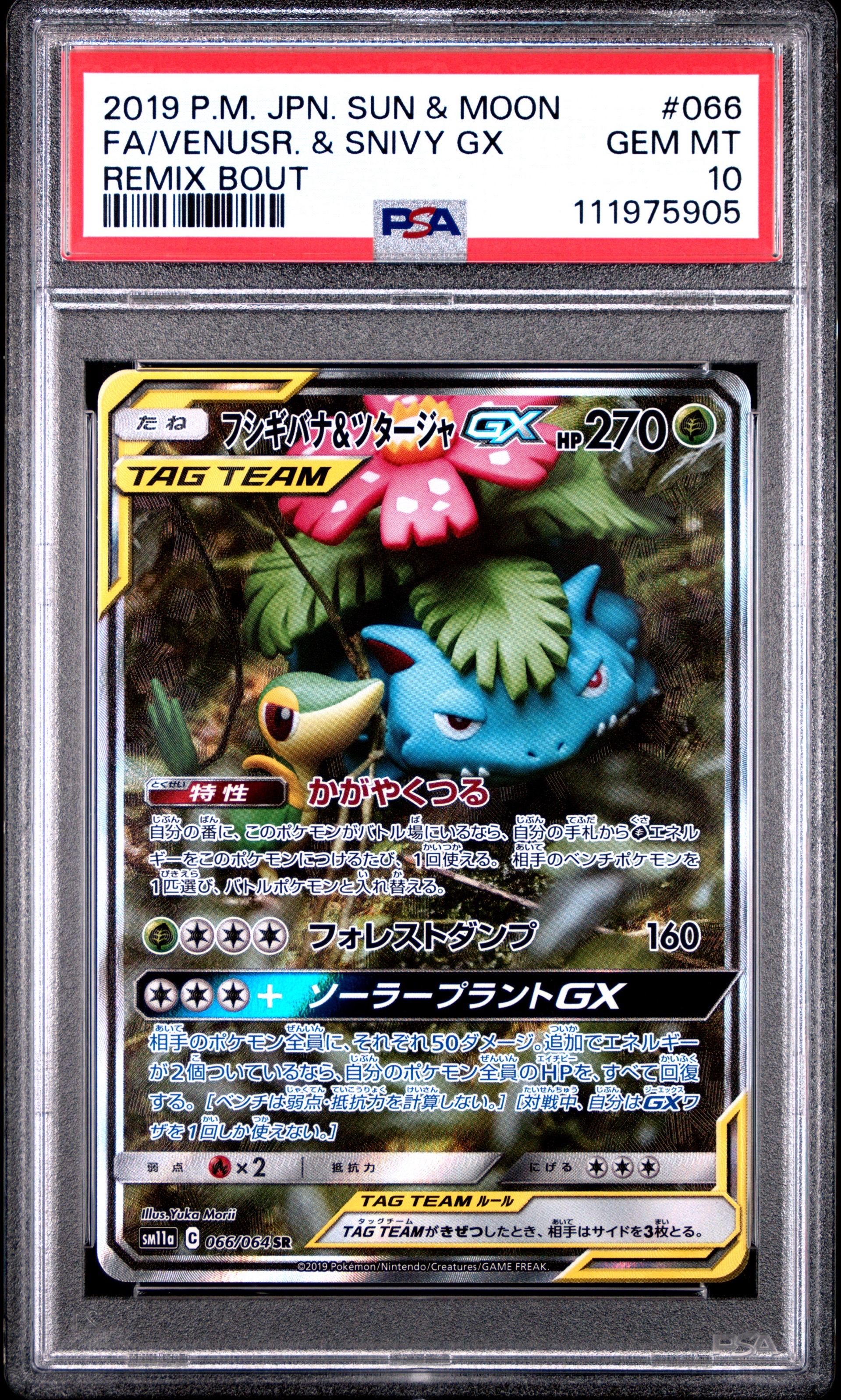 フシギバナ&ツタージャGX SR: SA[SM11a 066/064](強化拡張パック「リミックスバウト」)