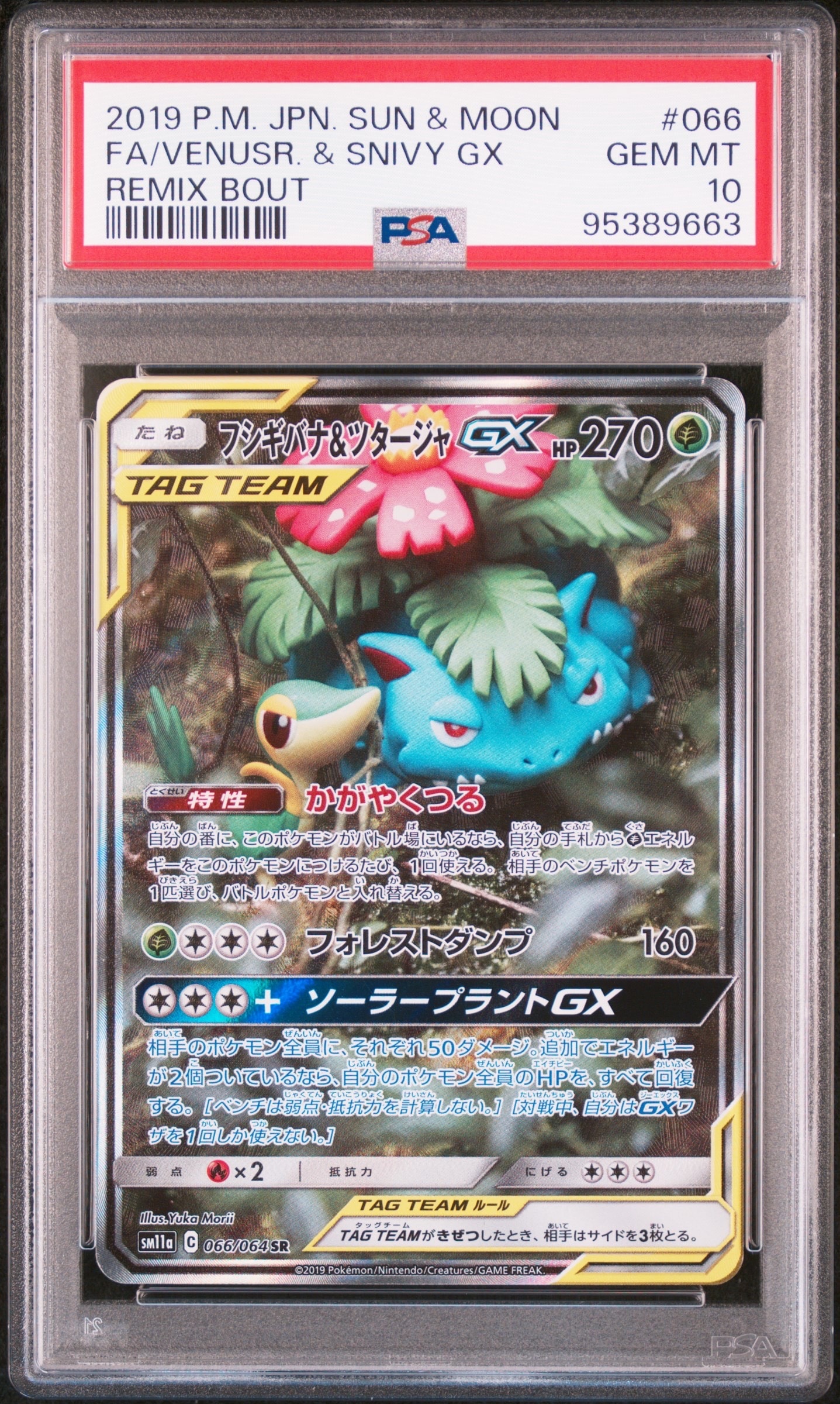 フシギバナ&ツタージャGX SR: SA[SM11a 066/064](強化拡張パック