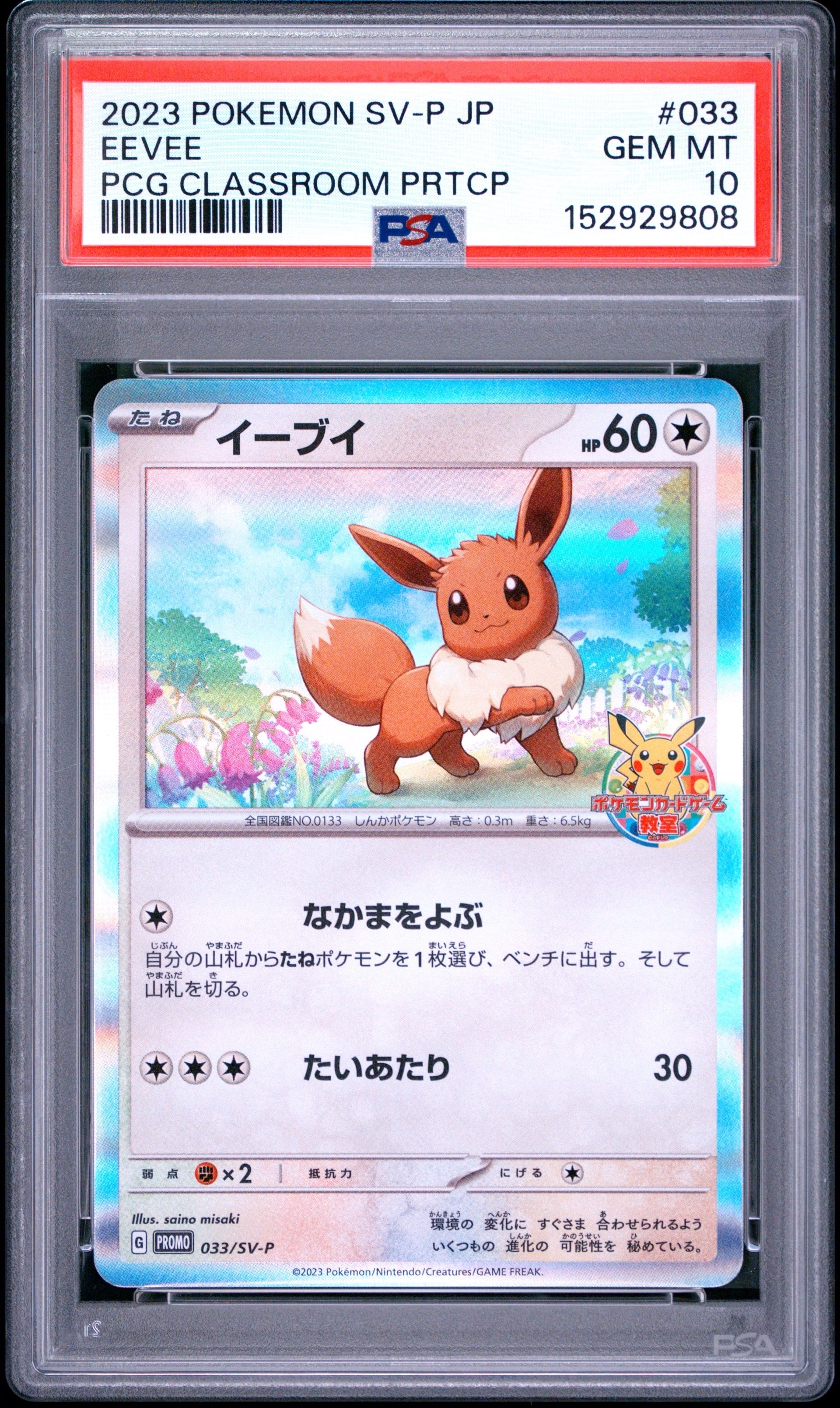 状態D】イーブイ: プロモ [SV-P 033](「 ポケモンカードゲーム教室