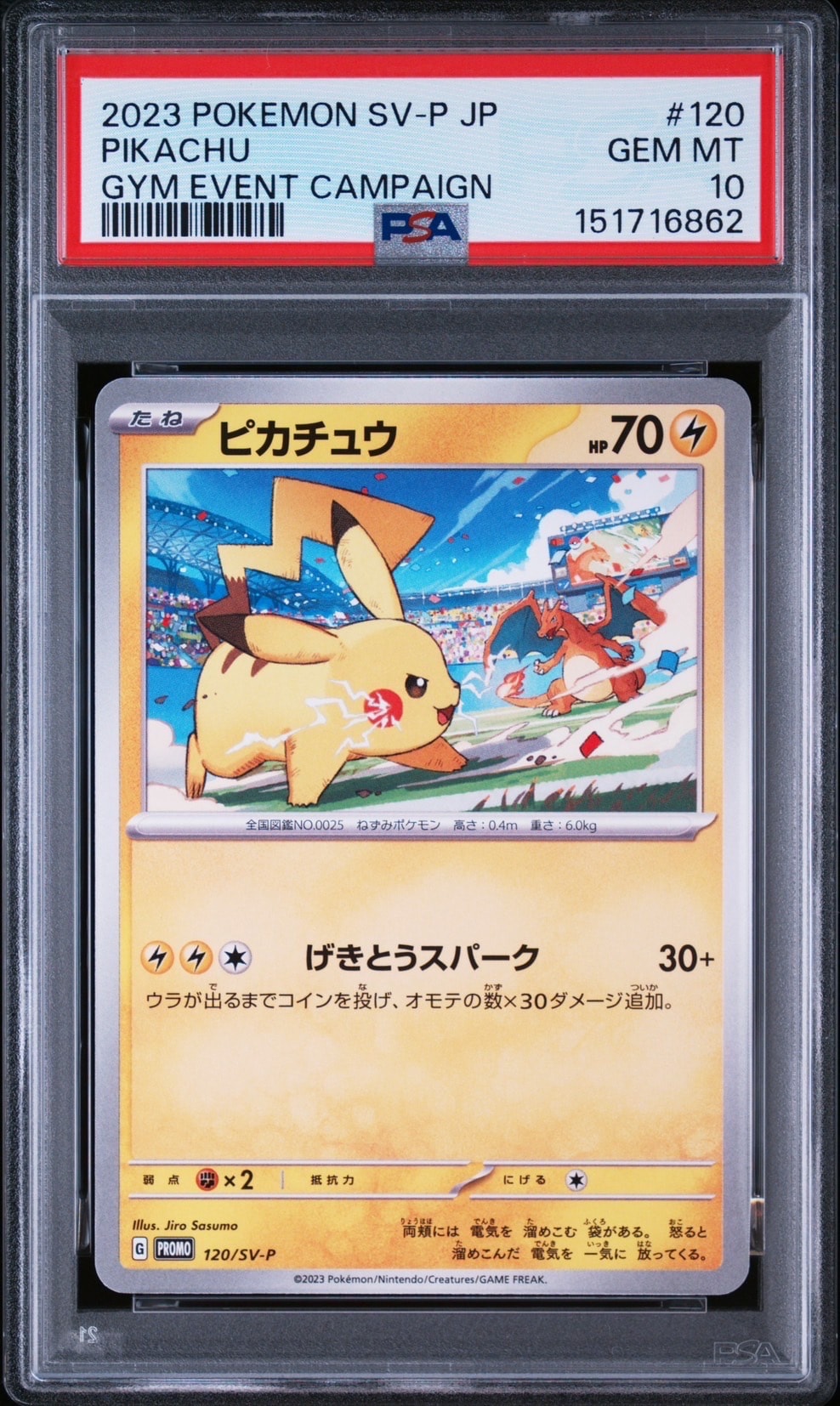ピカチュウ: プロモ P [S-P 024](ポケモンカードゲーム ソード