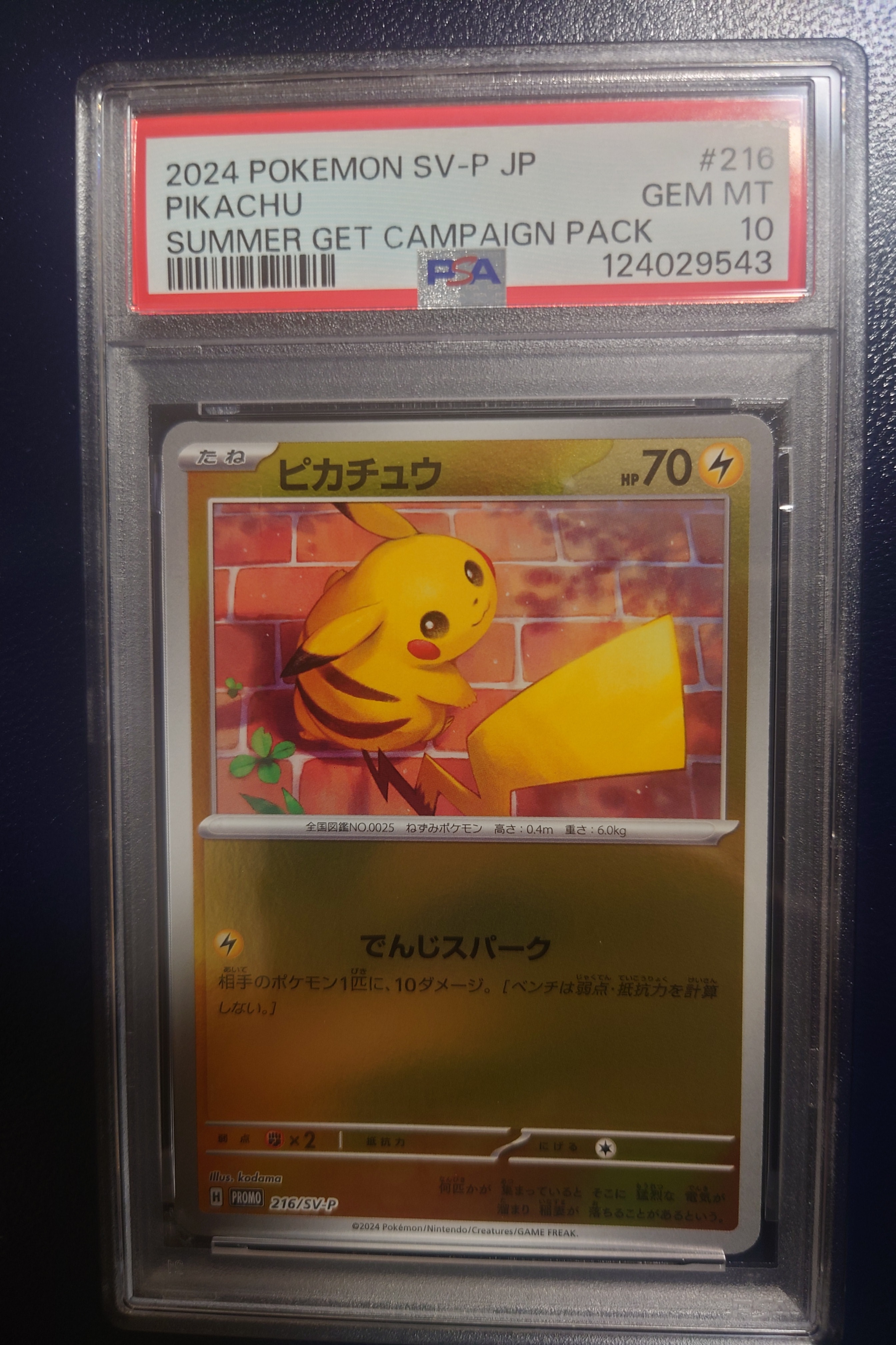 ピカチュウ P [SV-P 216](プロモカードパック「ポケカの夏がキタ!プロモカードGetキャンペーン!」)