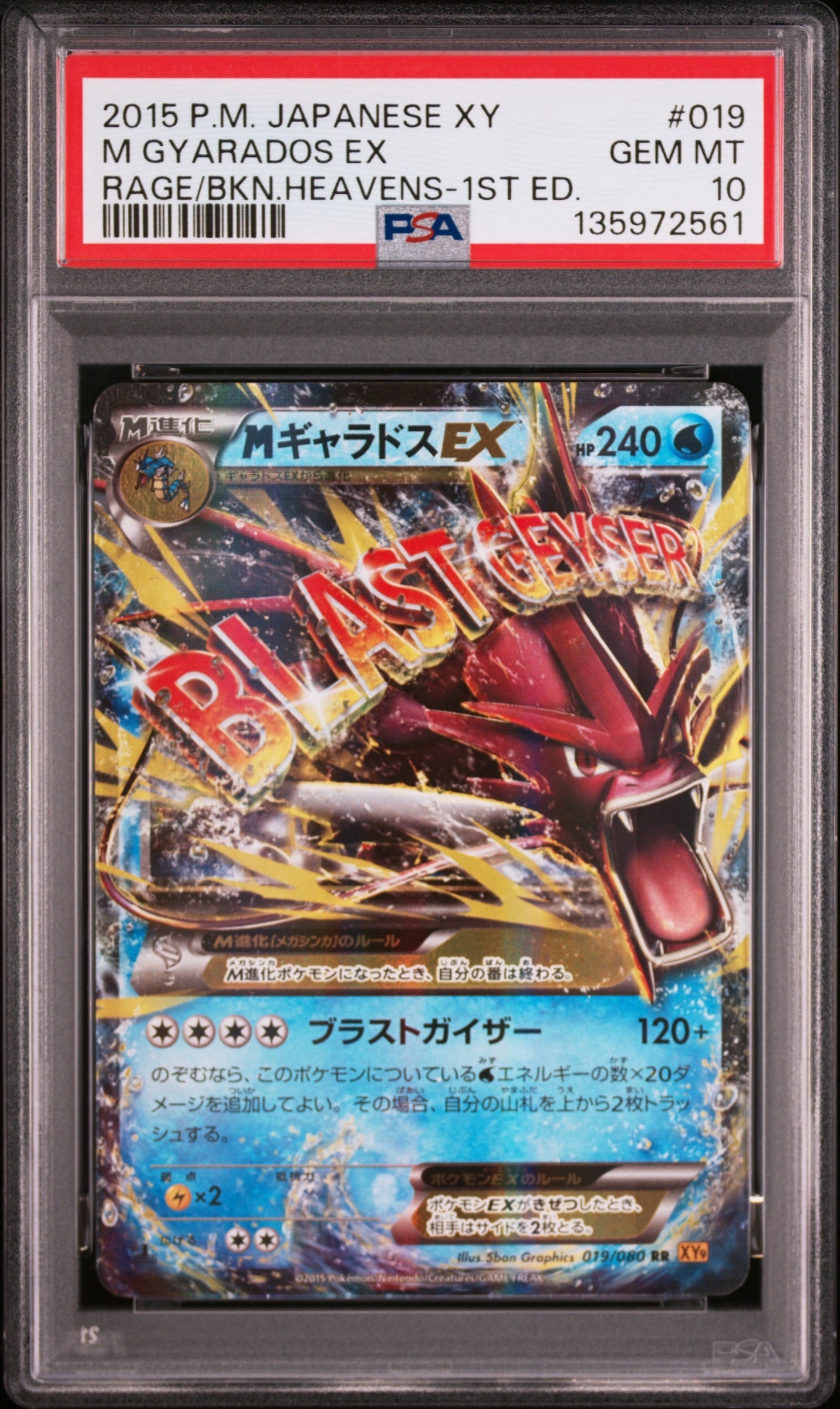 MギャラドスEX RR :1ED [XY9 019/080](拡張パック「破天の怒り」)