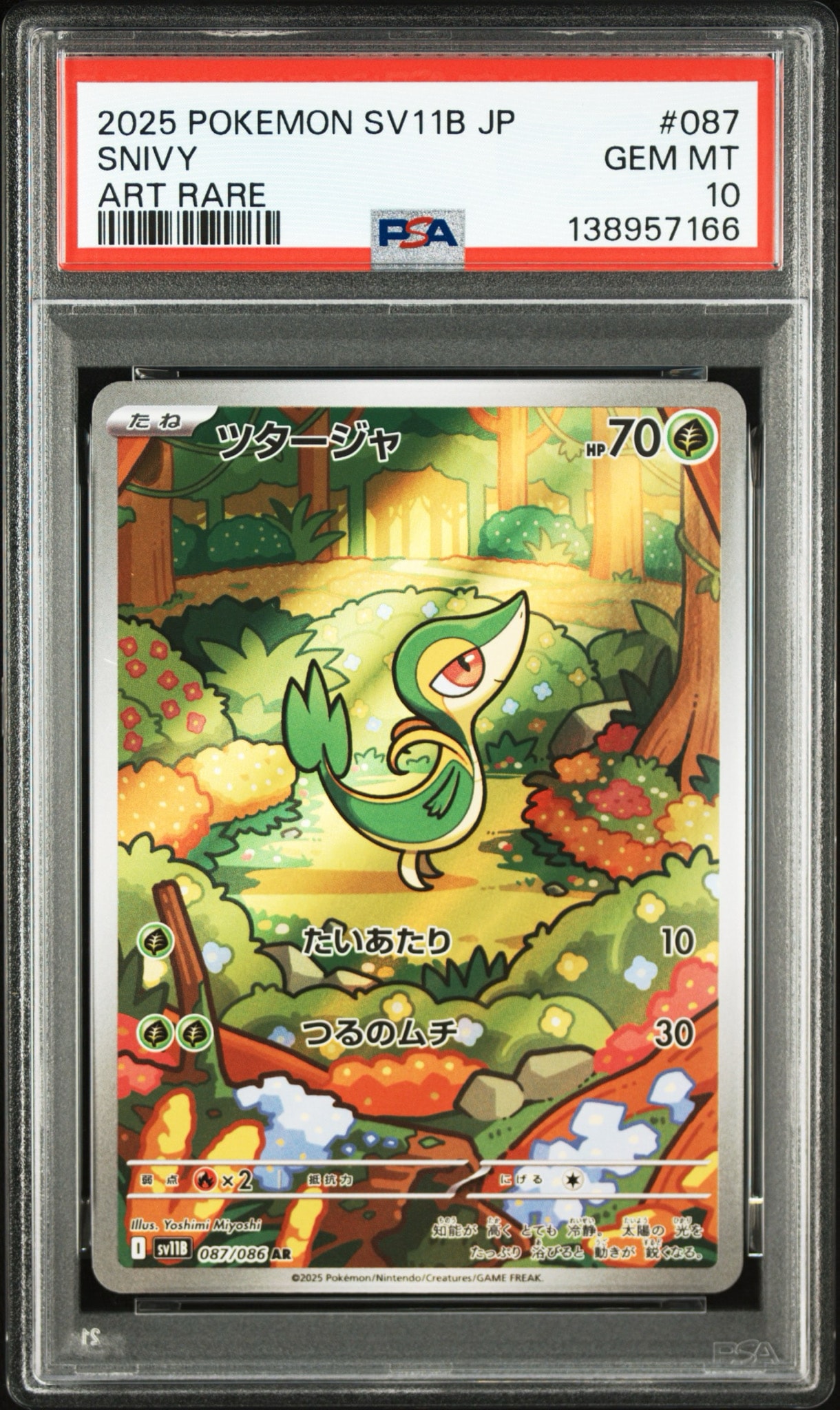 【PSA10】SV11B ツタージャ 087/086 AR PSA10 PSA10】ツタージャ AR [SV11B 087/086](拡張パック「ブラックボルト