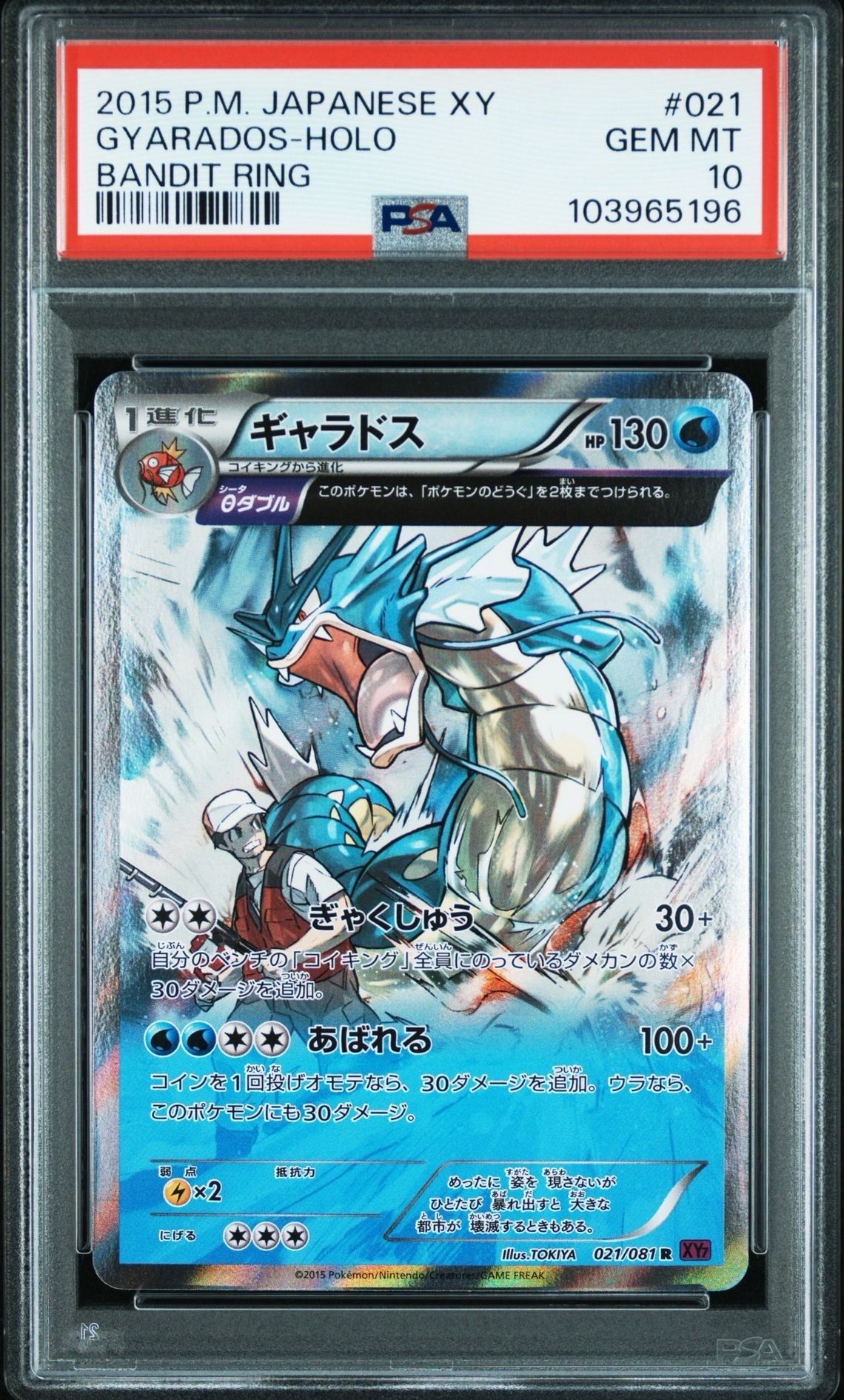 ギャラドス R [XY7 021/081](拡張パック「バンデットリング」)の新品