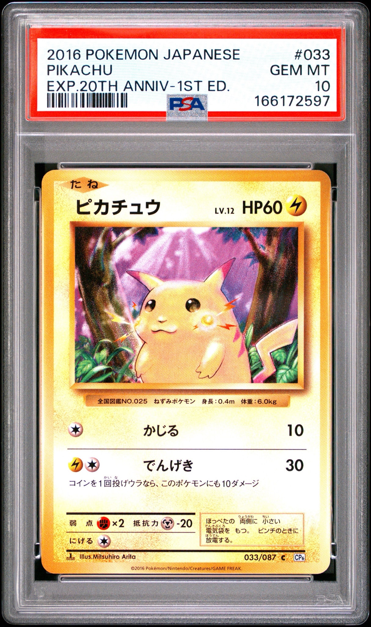 ピカチュウ C :1ED [CP6 033/087](コンセプトパック「ポケットモンスターカードゲーム 拡張パック 20th Anniversary」)