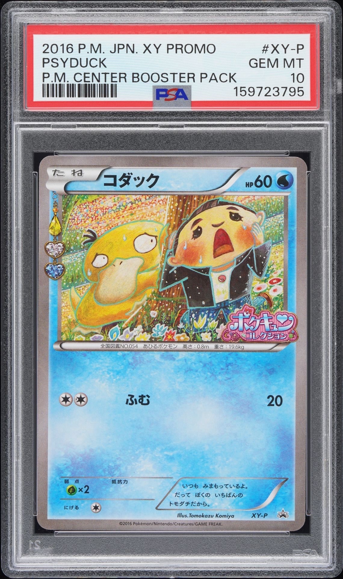 コダック: プロモ[XY-P](プロモーションカード「XY-P」)の新品/中古