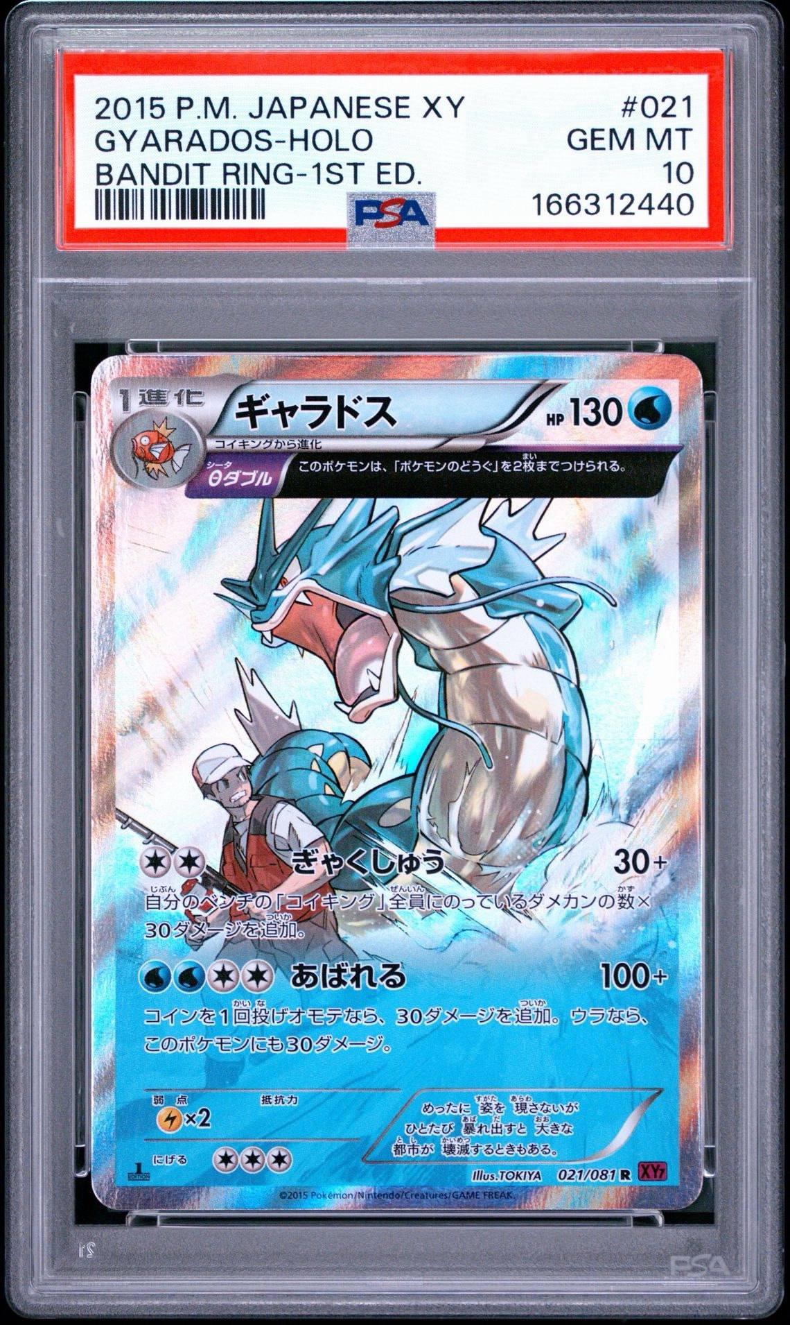 ギャラドス R :1ED [XY7 021/081](拡張パック「バンデットリング」)