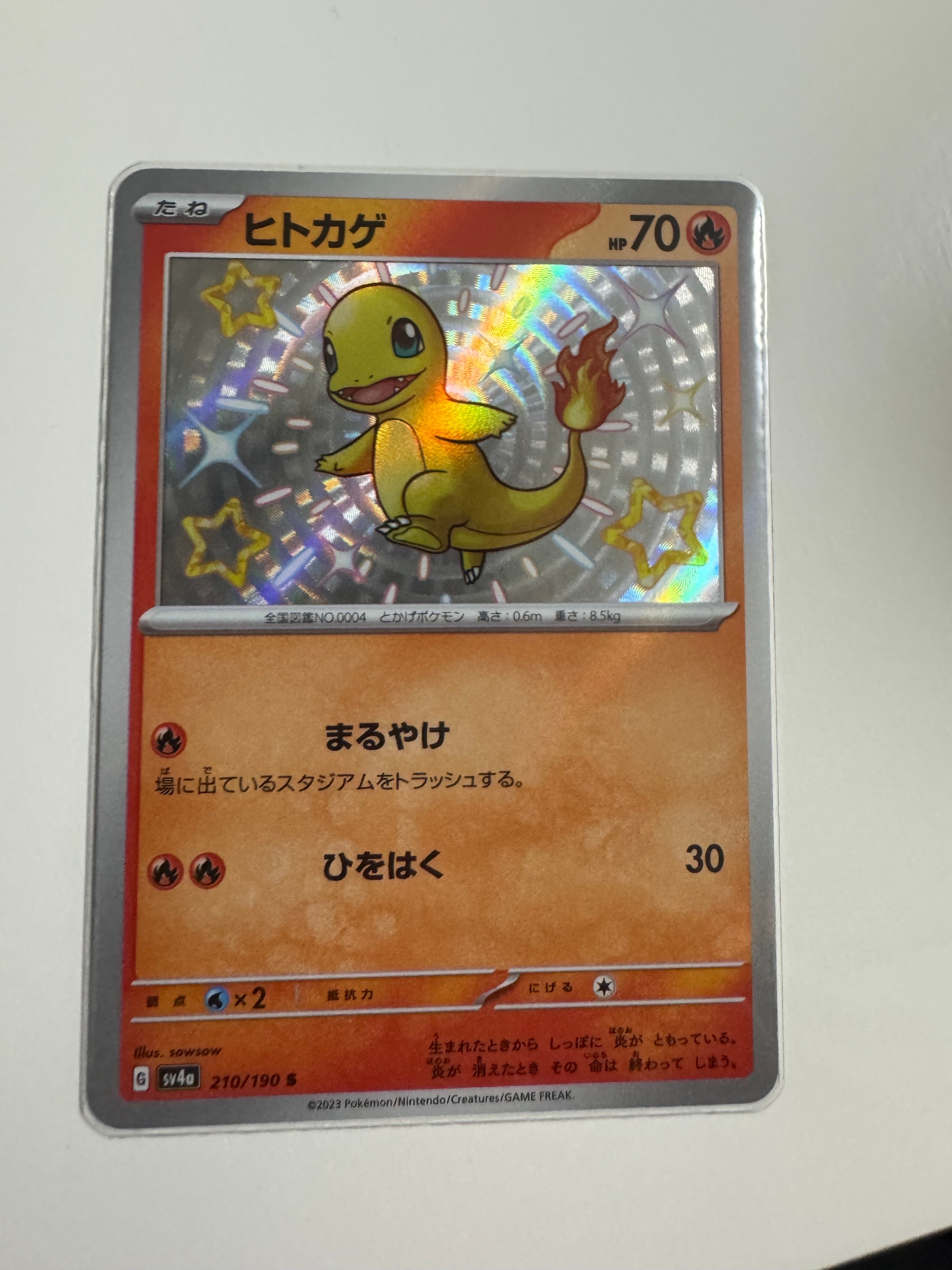 PSA10】ヒトカゲ S[SV4a 210/190](ハイクラスパック「シャイニー