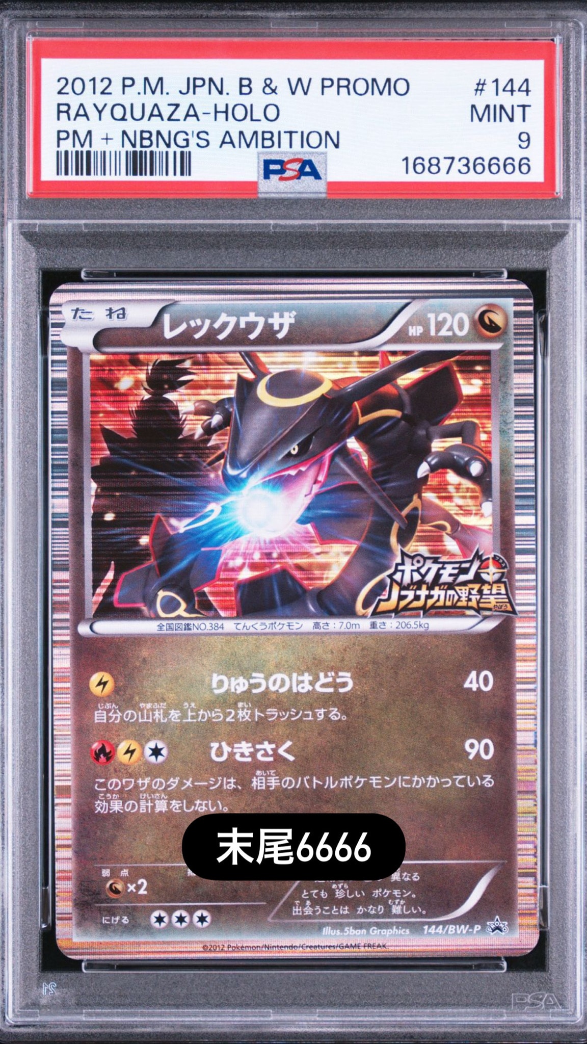 レックウザ P [BW-P 144/BW-P](プロモーションカード「ポケモン +