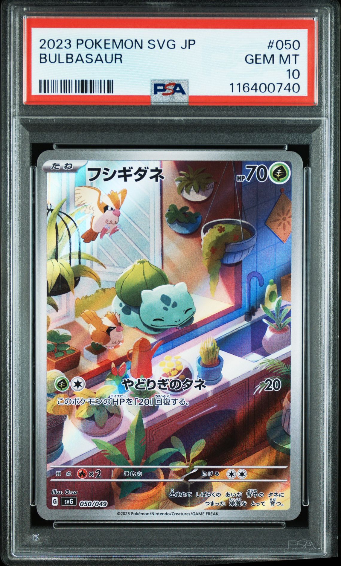 フシギダネ :フルイラスト [SVG 050/049](スペシャルデッキセットex「フシギバナ・リザードン・カメックス」)