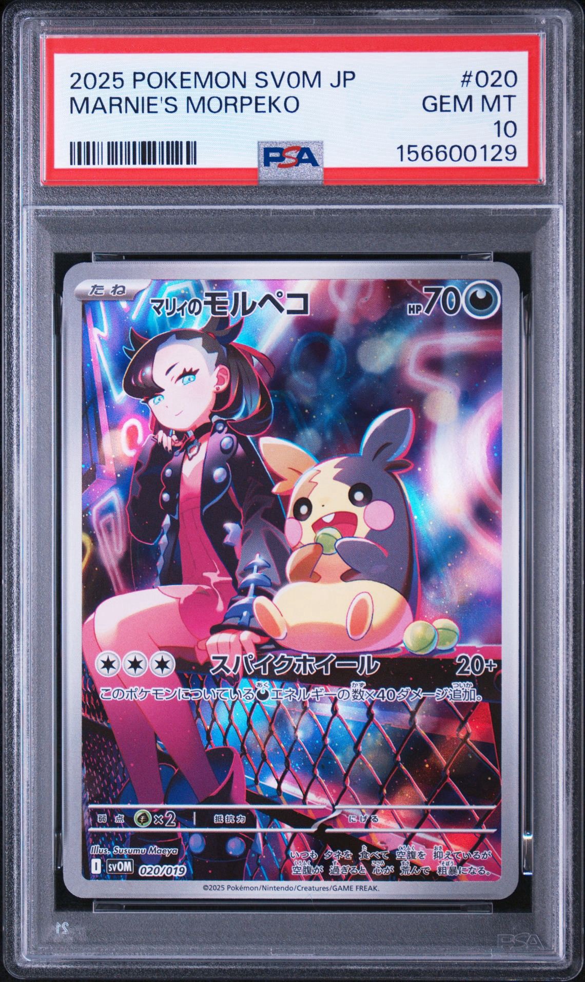 PSA10】マリィのモルペコ [SVOM 020/019](スターターセットex「マリィ