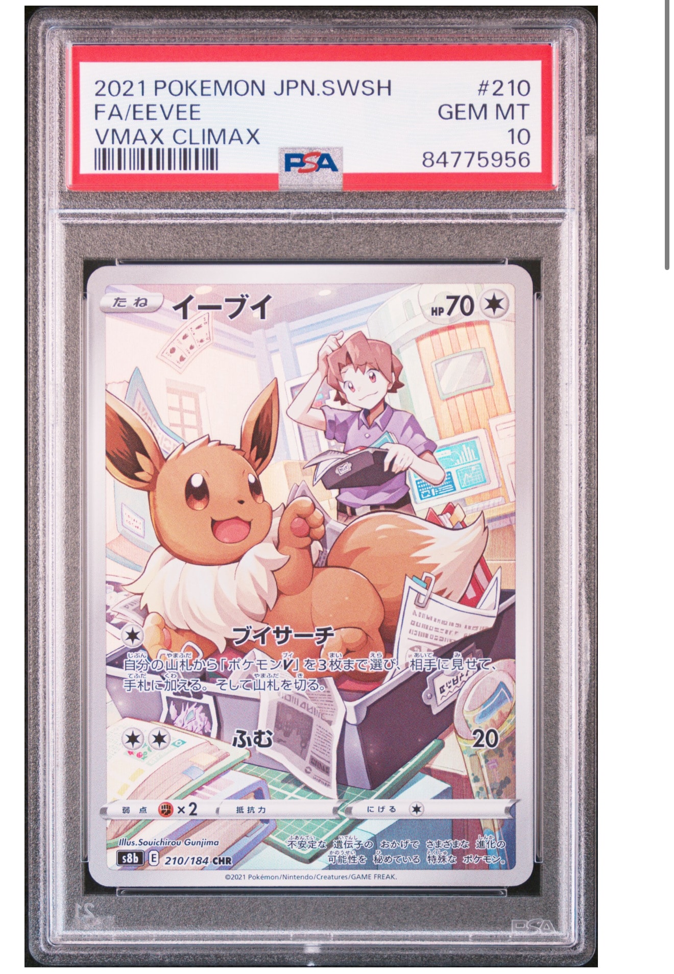 PSA10】ゼルネアスEX RR :1ED [XY1 044/060](拡張パック「コレクション