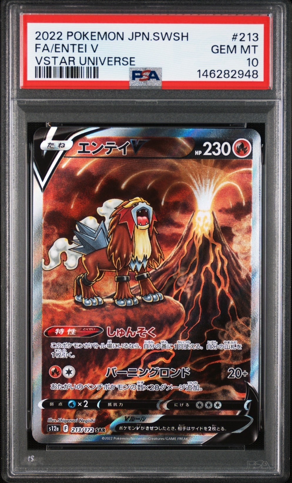 PSA10】エンテイV SAR[s12a 213/172](ハイクラスパック「VSTAR