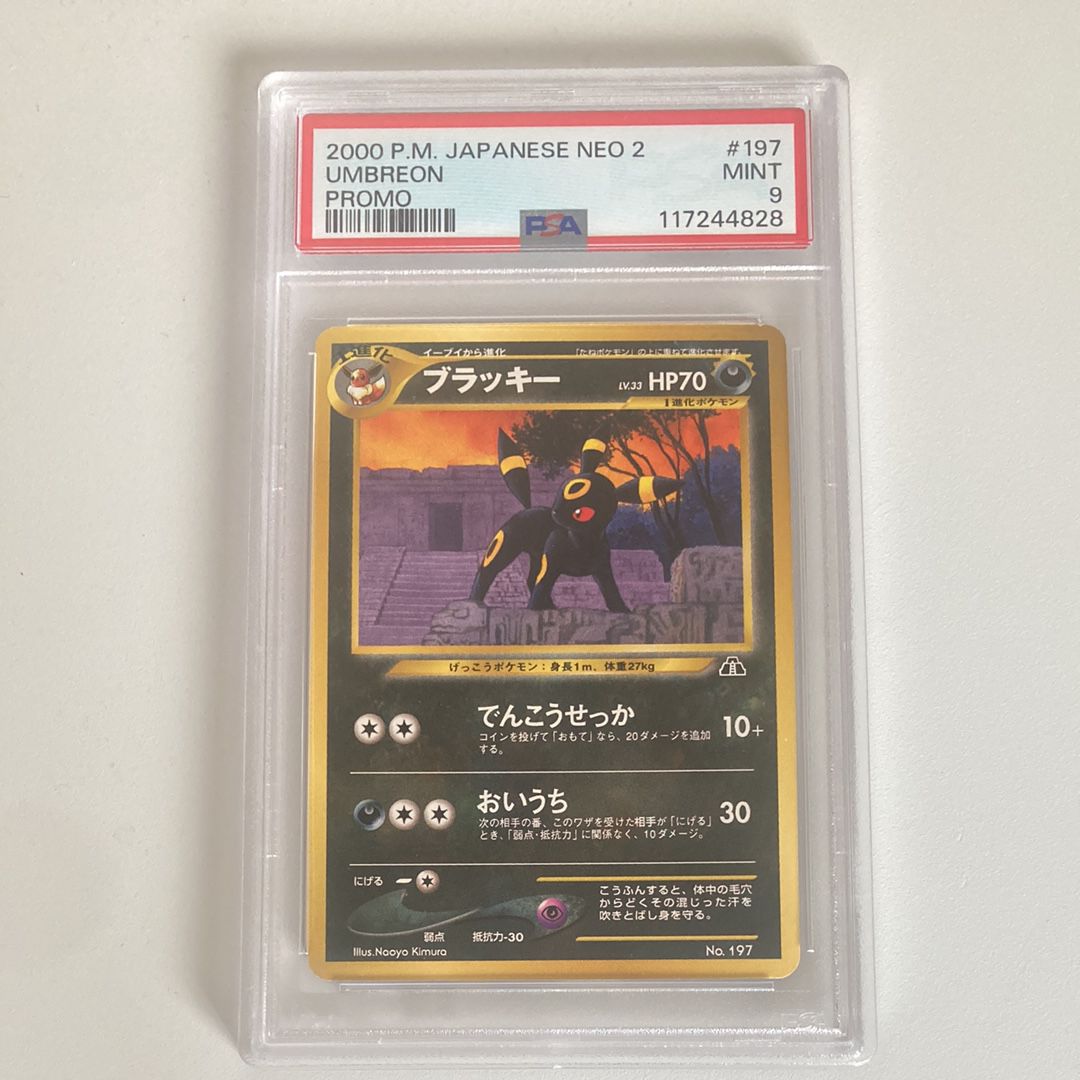 ブラッキープレミアムファイル2: 旧裏[neoP2 No.197](プレミアムファイル2)