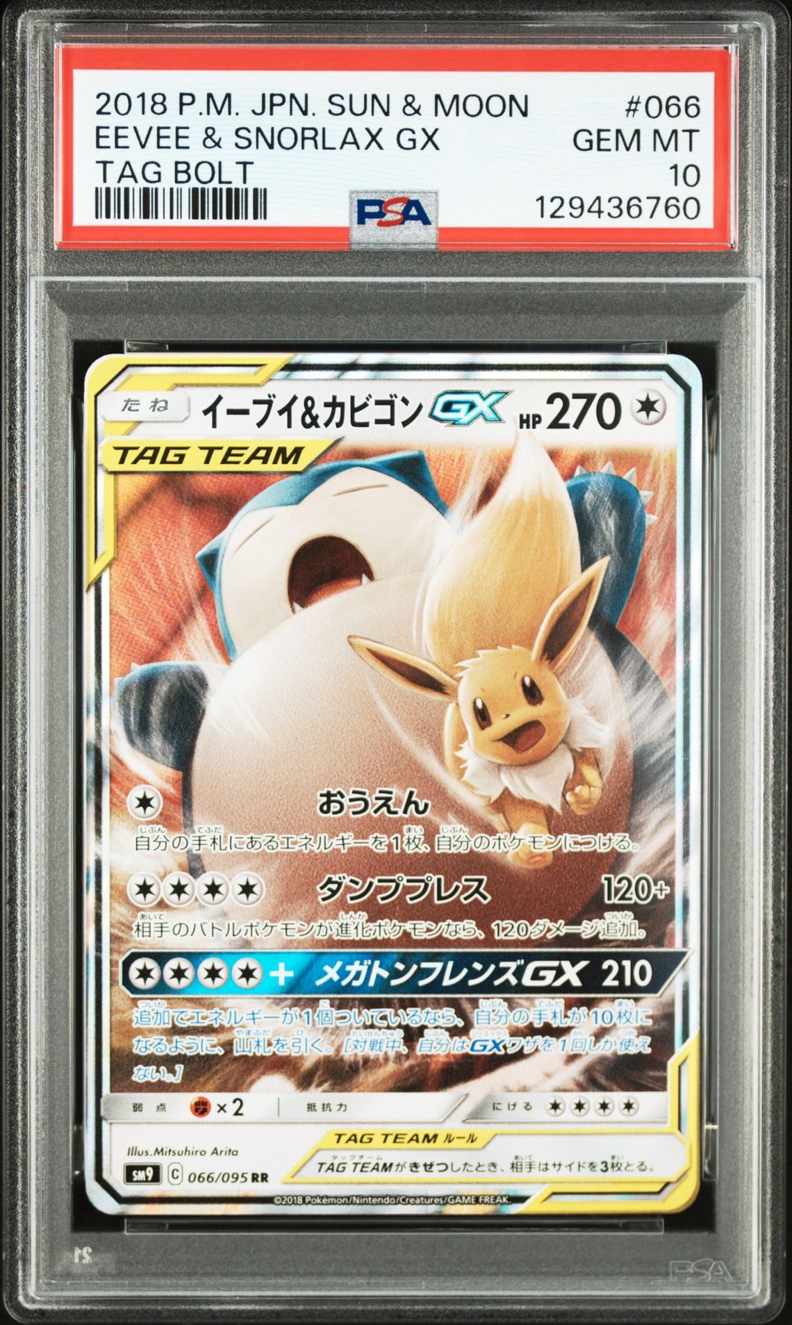 イーブイ&カビゴンGX RR [SM9 066/095](拡張パック「タッグボルト」)
