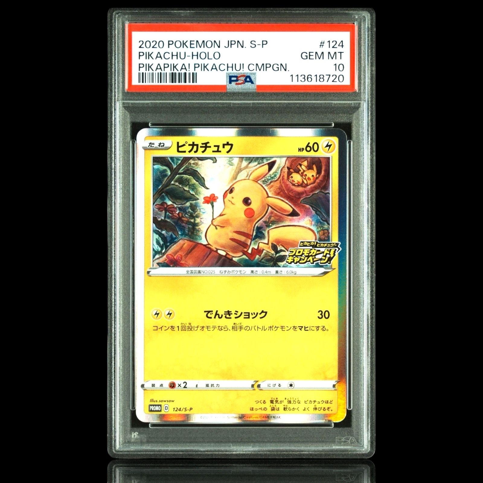 ピカチュウ: プロモ P [S-P 124](ピカピカ!ピカチュウ!プロモカードキャンペーン)