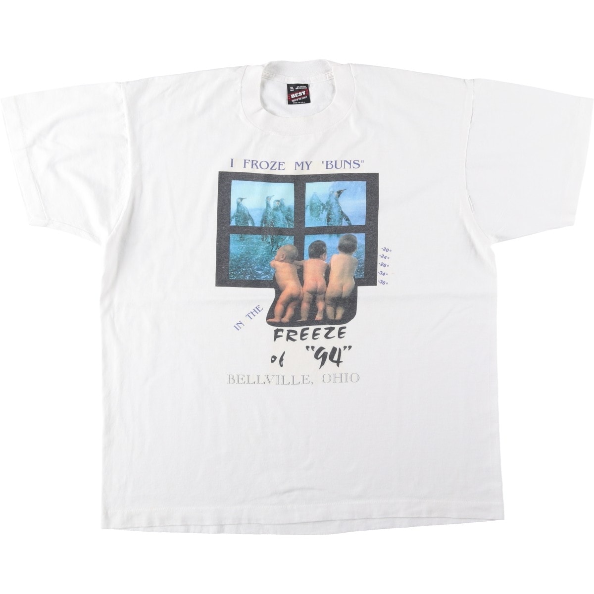 古着 90年代 フルーツオブザルーム FRUIT OF THE LOOM BEST プリントTシャツ USA製 メンズXL相当/eaa642202