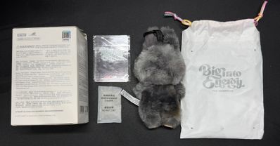 POP MART THE MONSTERS (LABUBU) Big into Energy Series Plush Pendant ID (Secret)