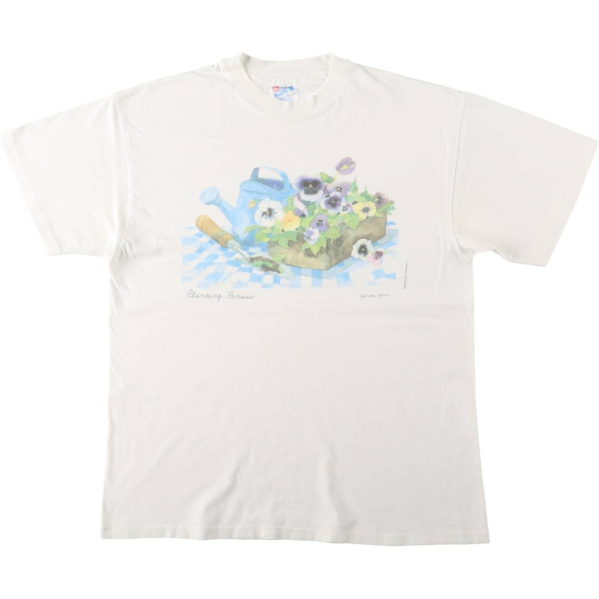 古着 90年代 ヘインズ Hanes BEEFY-T アートTシャツ メンズL相当 ヴィンテージ/eaa661927