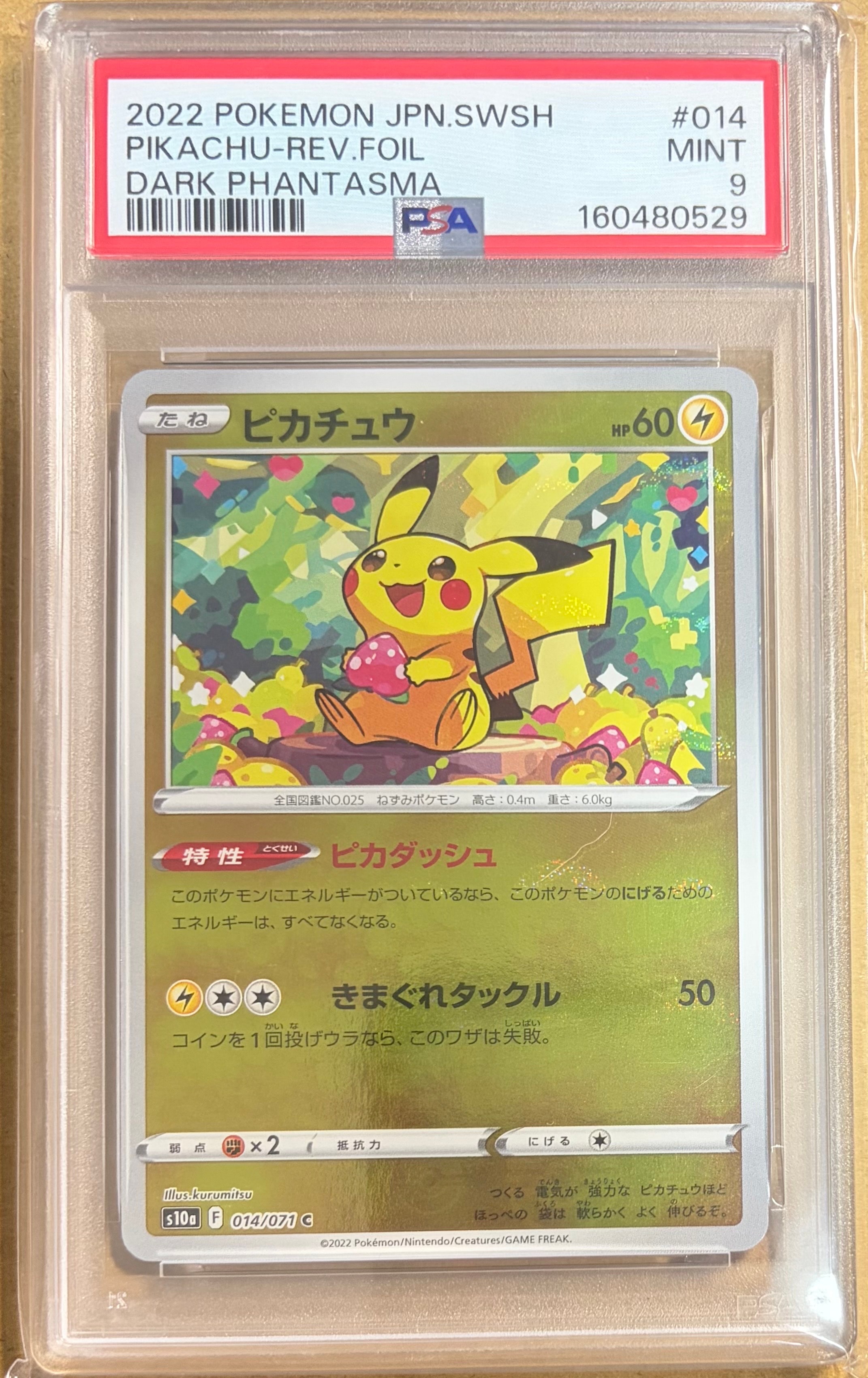 ピカチュウ P [BW-P 229/BW-P](プロモーションカード「ポケモン