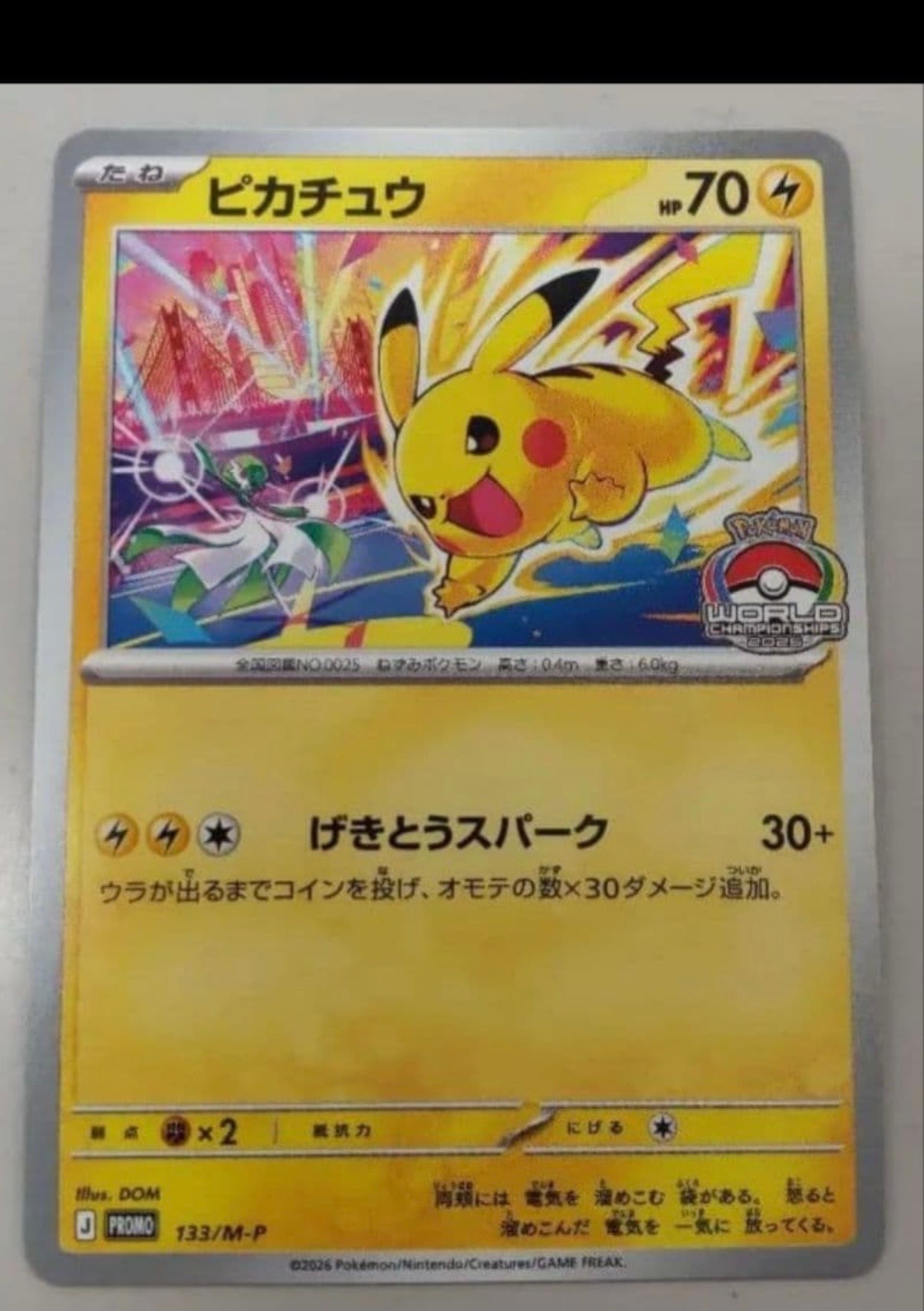 PSA10】ブラッキープレミアムファイル2: 旧裏[neoP2 No.197