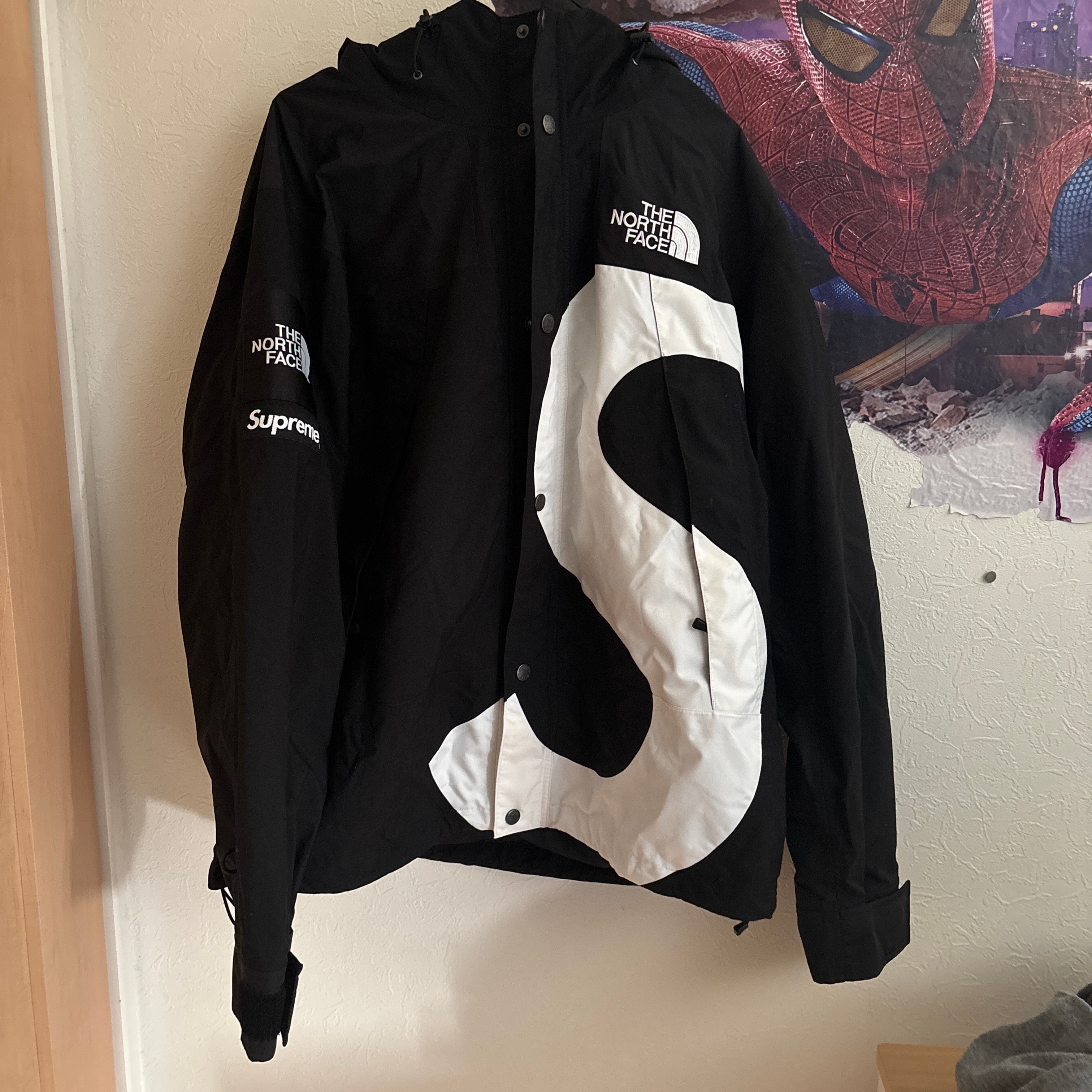 Supreme x The North Face Leather Mountain Parka 