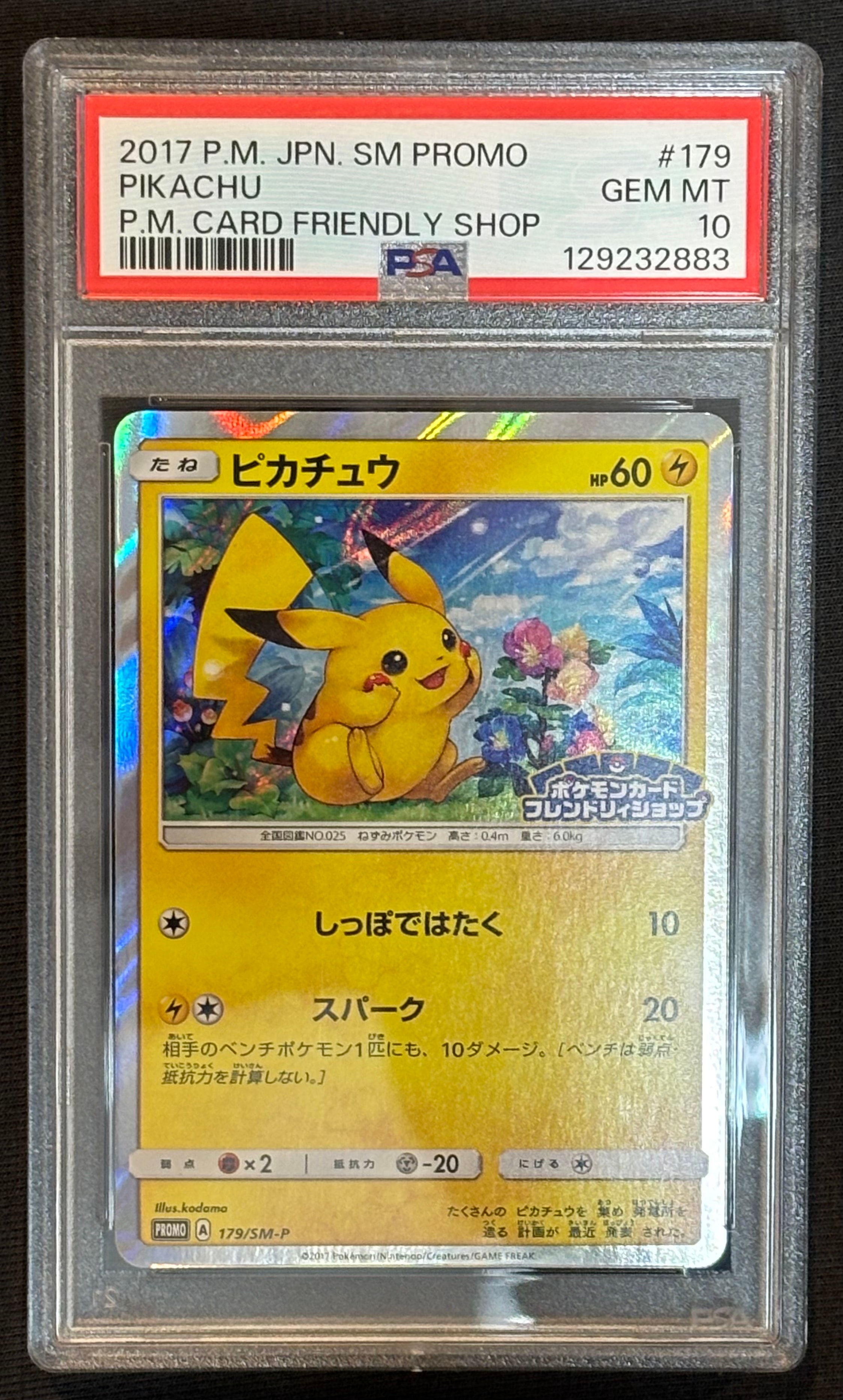 PSA10】ピカチュウ: プロモ[SM-P 179](プロモーションカード「SM-P