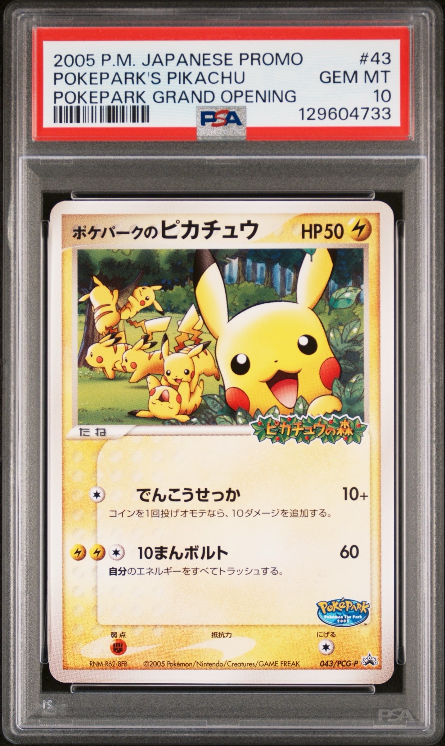 ポケパークのピカチュウ P [PCG-P 043](プロモーションカード「ポケパーク ルギアのくるくるシップ」)