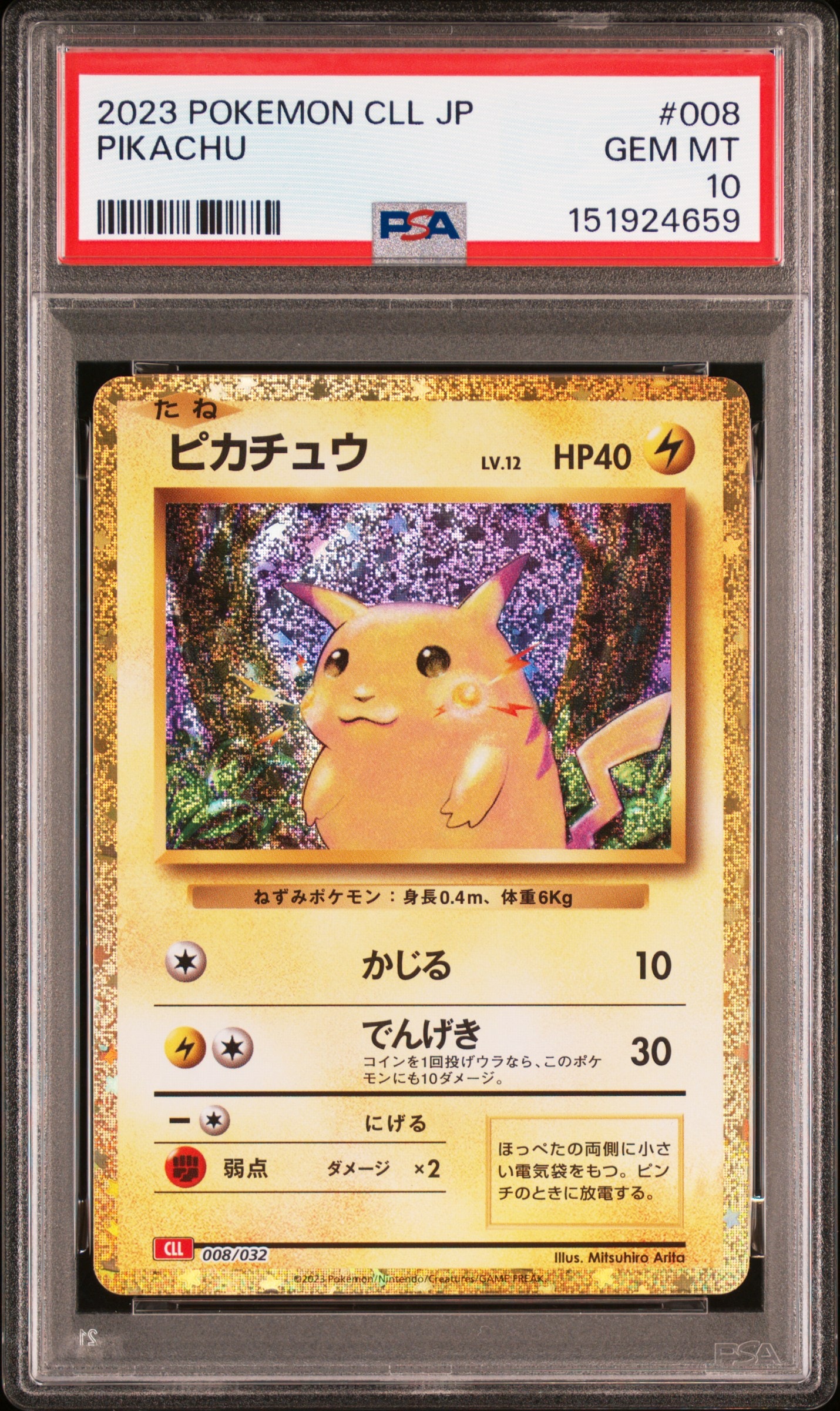 ピカチュウ P [BW-P 108/BW-P](プロモーションカード「はじめてセット