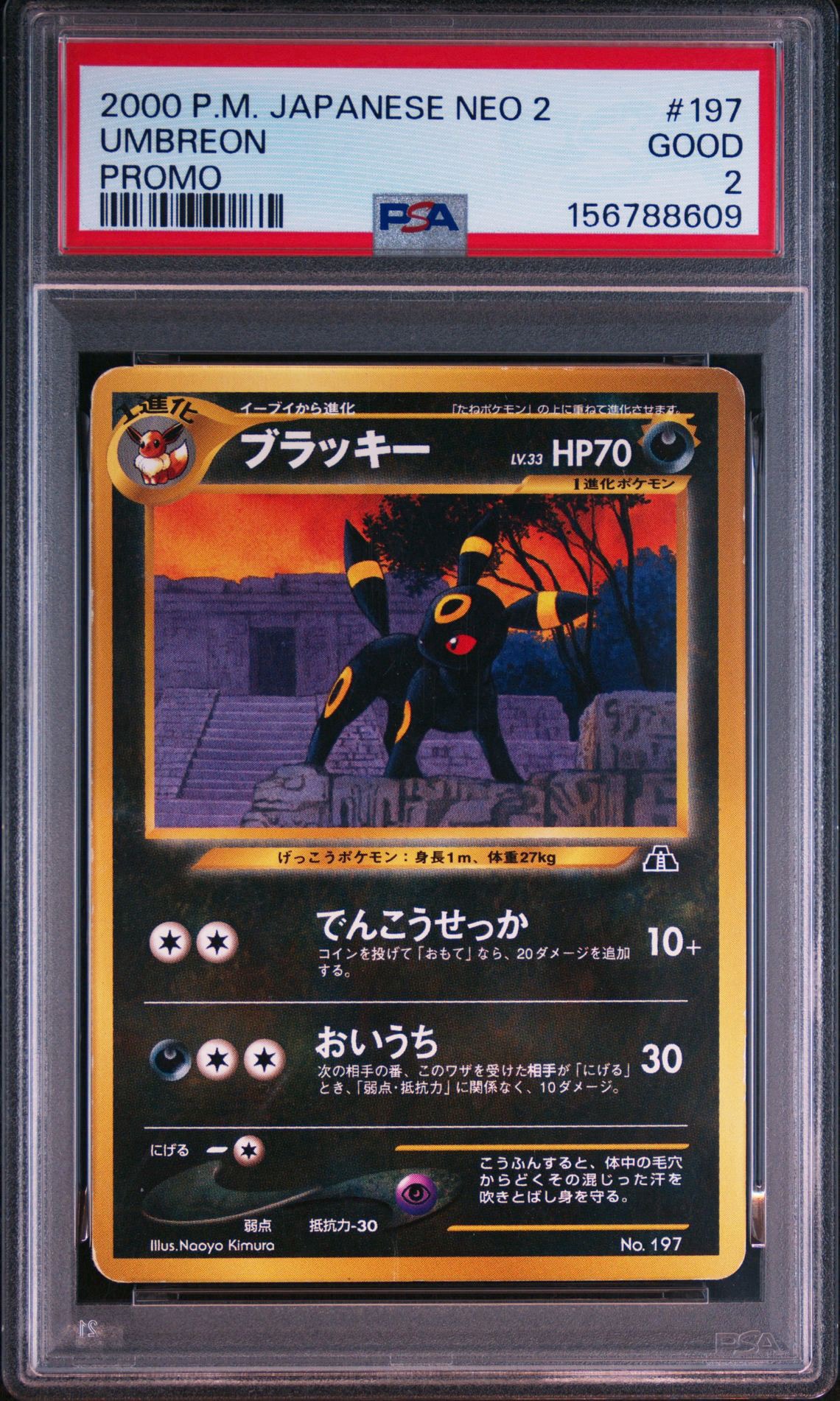 PSA10】ブラッキープレミアムファイル2: 旧裏[neoP2 No.197