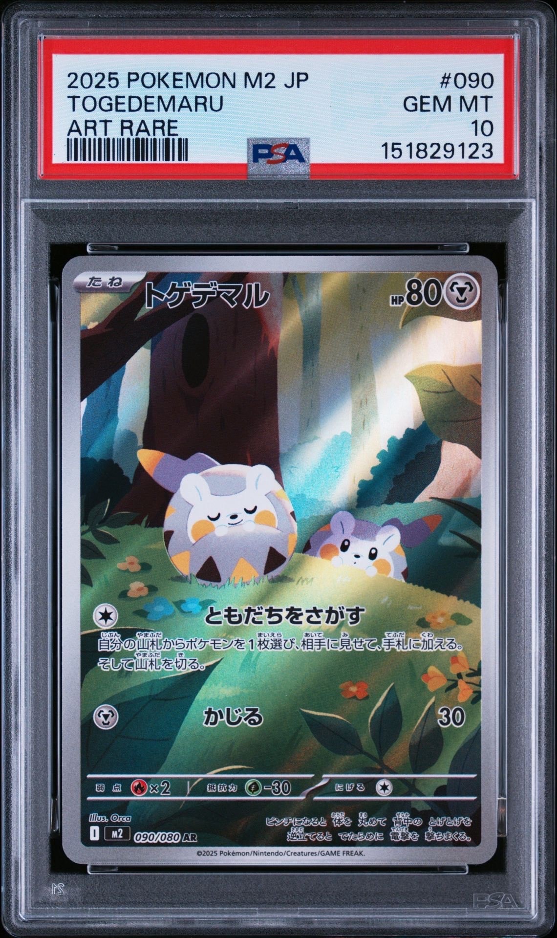 PSA10】ヒトカゲ S[SV4a 210/190](ハイクラスパック「シャイニー
