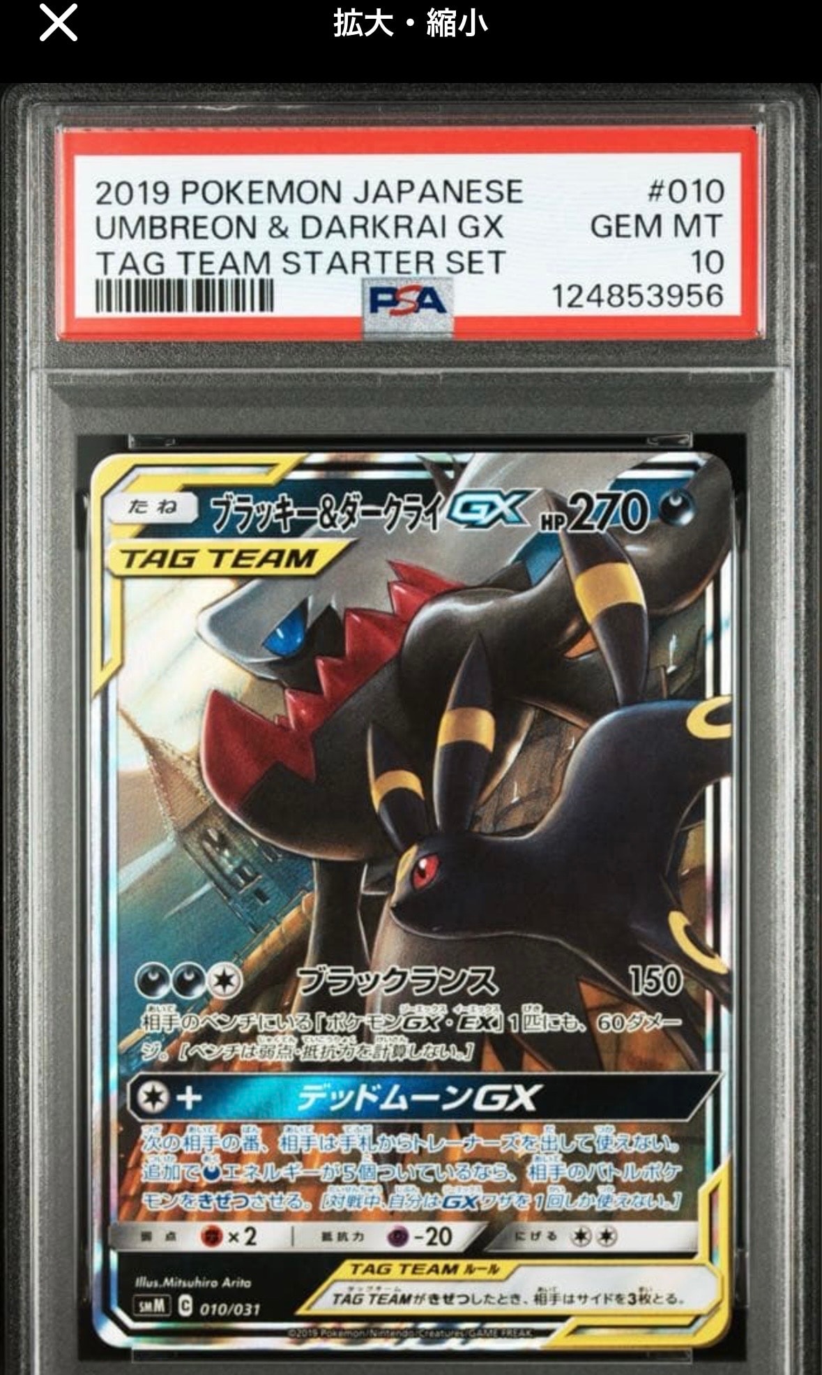 ブラッキー&ダークライGX [SMM 010/031](スターターセット TAG TEAM GX「エーフィ&デオキシスGX・ブラッキー&ダークライGX」)