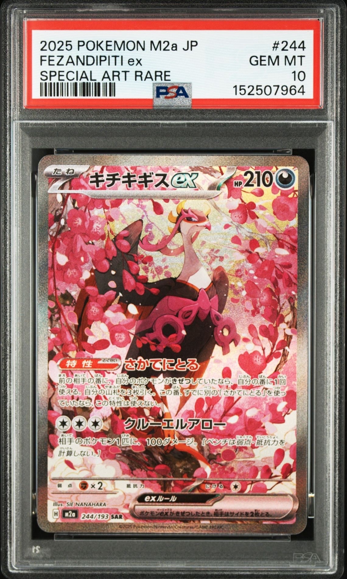 【PSA10】メガキチキギスex SAR 244/193 M2a キチキギスex SAR [M2a 244/193](ハイクラスパック「MEGAドリームex